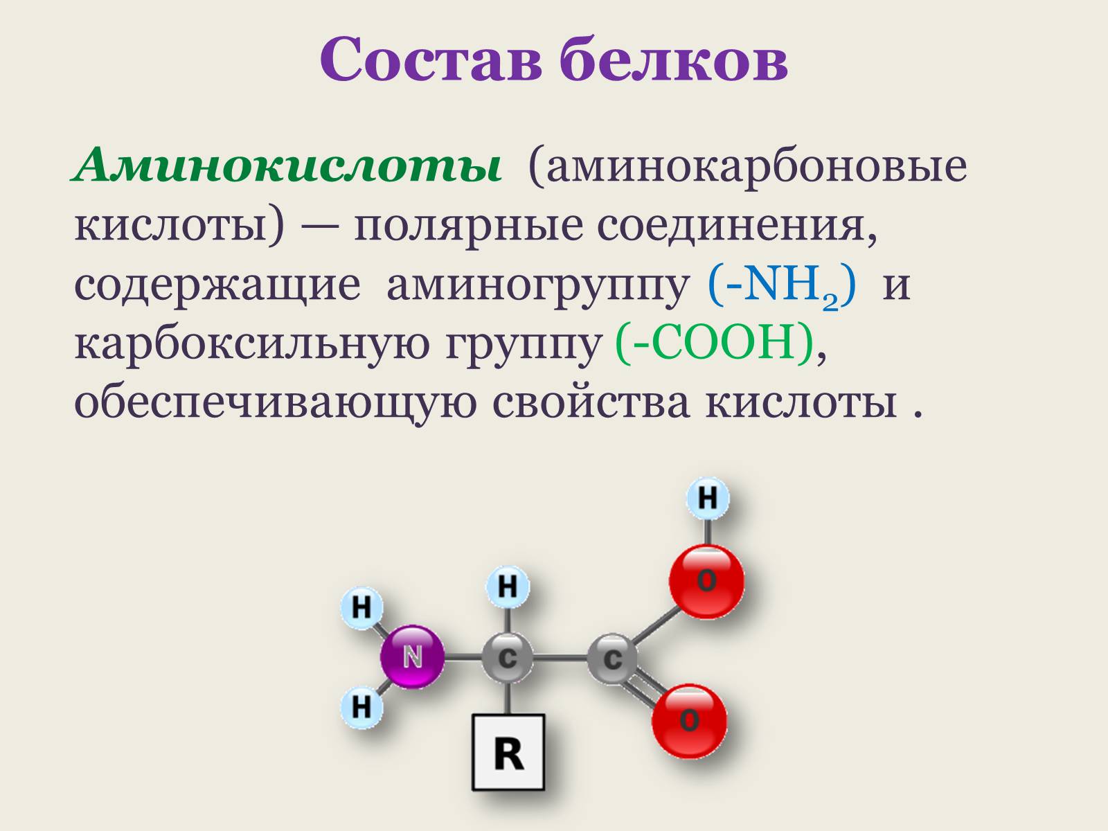 Презентація на тему «Белки: состав и строение» - Слайд #6 Презентація на тему «Белки: состав и строение» - Слайд #6