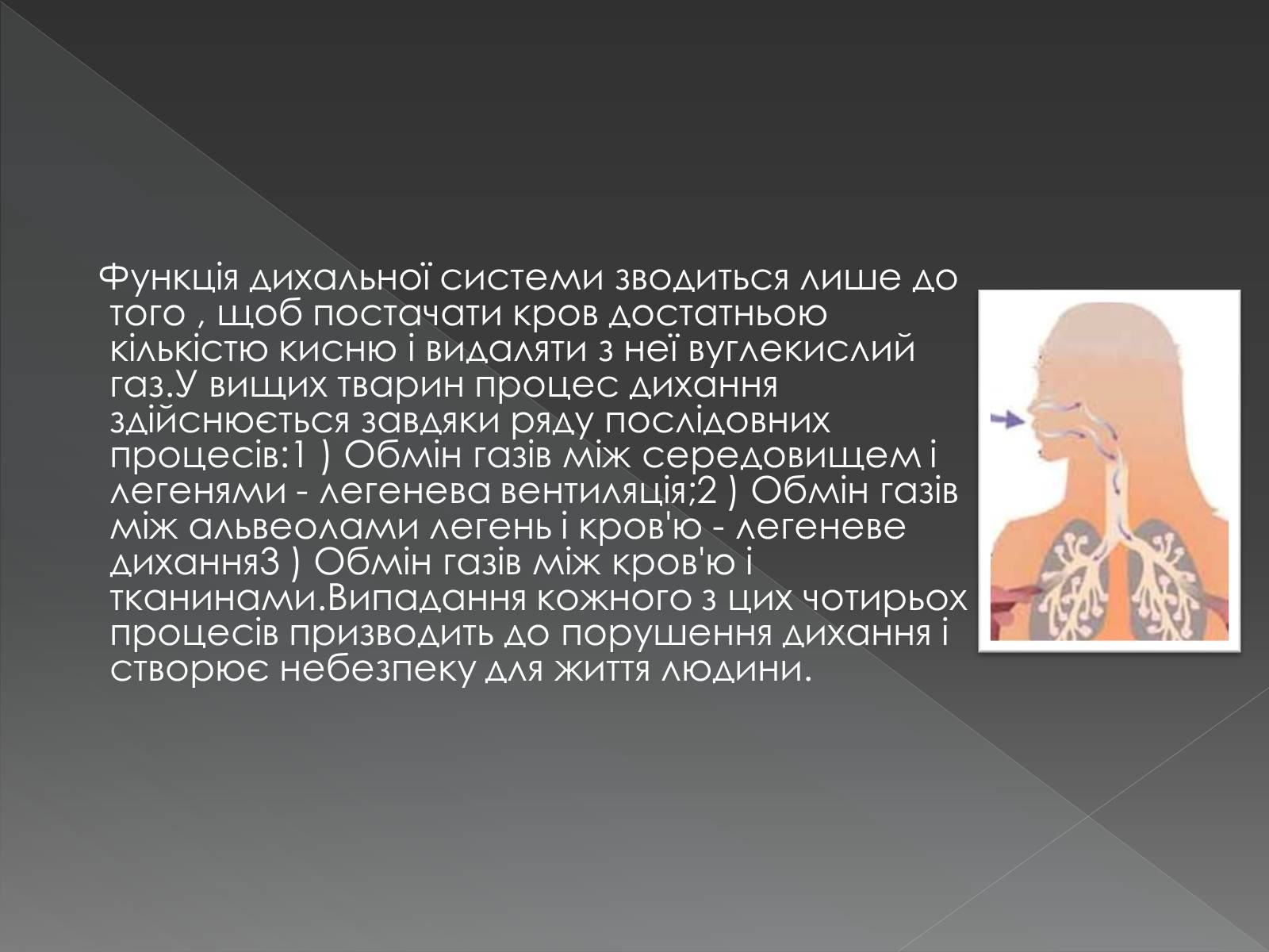 Презентація на тему «Види професійних захворювань органів дихання» - Слайд #5 Презентація на тему «Види професійних захворювань органів дихання» - Слайд #5
