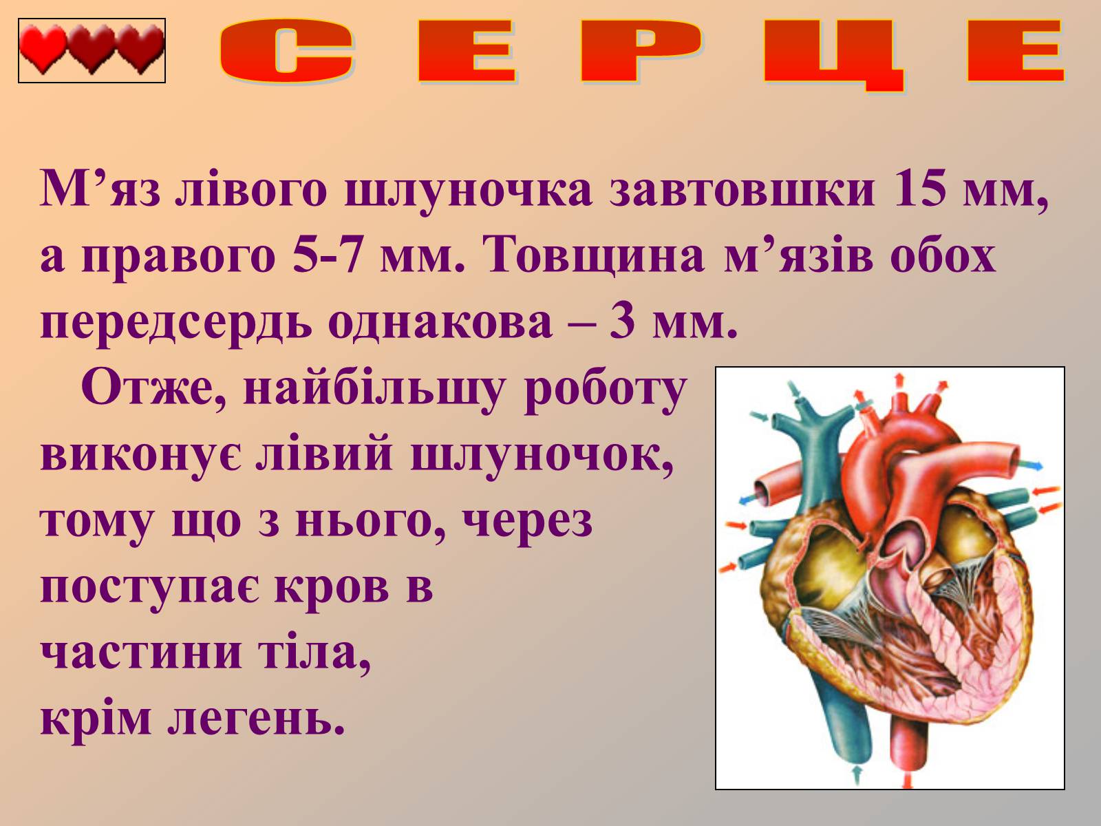Презентація на тему «Серце людини» (варіант 1) - Слайд #20 Презентація на тему «Серце людини» (варіант 1) - Слайд #20