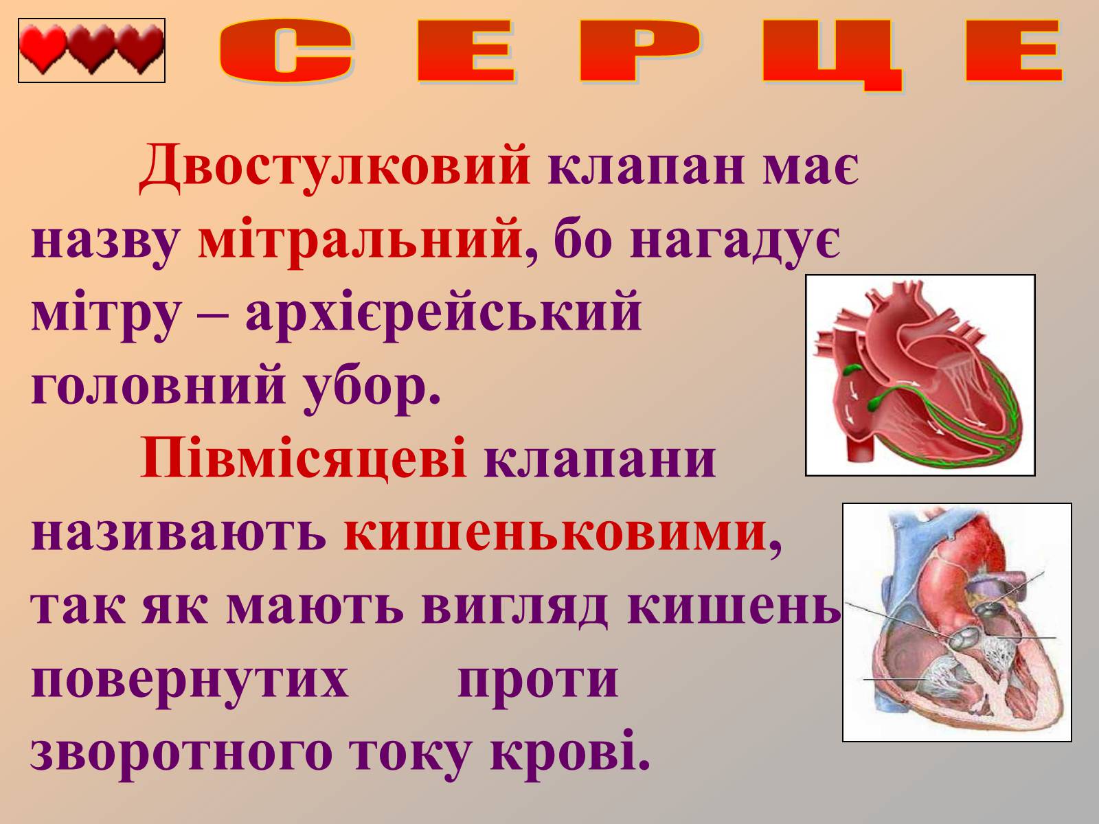 Презентація на тему «Серце людини» (варіант 1) - Слайд #9 Презентація на тему «Серце людини» (варіант 1) - Слайд #9