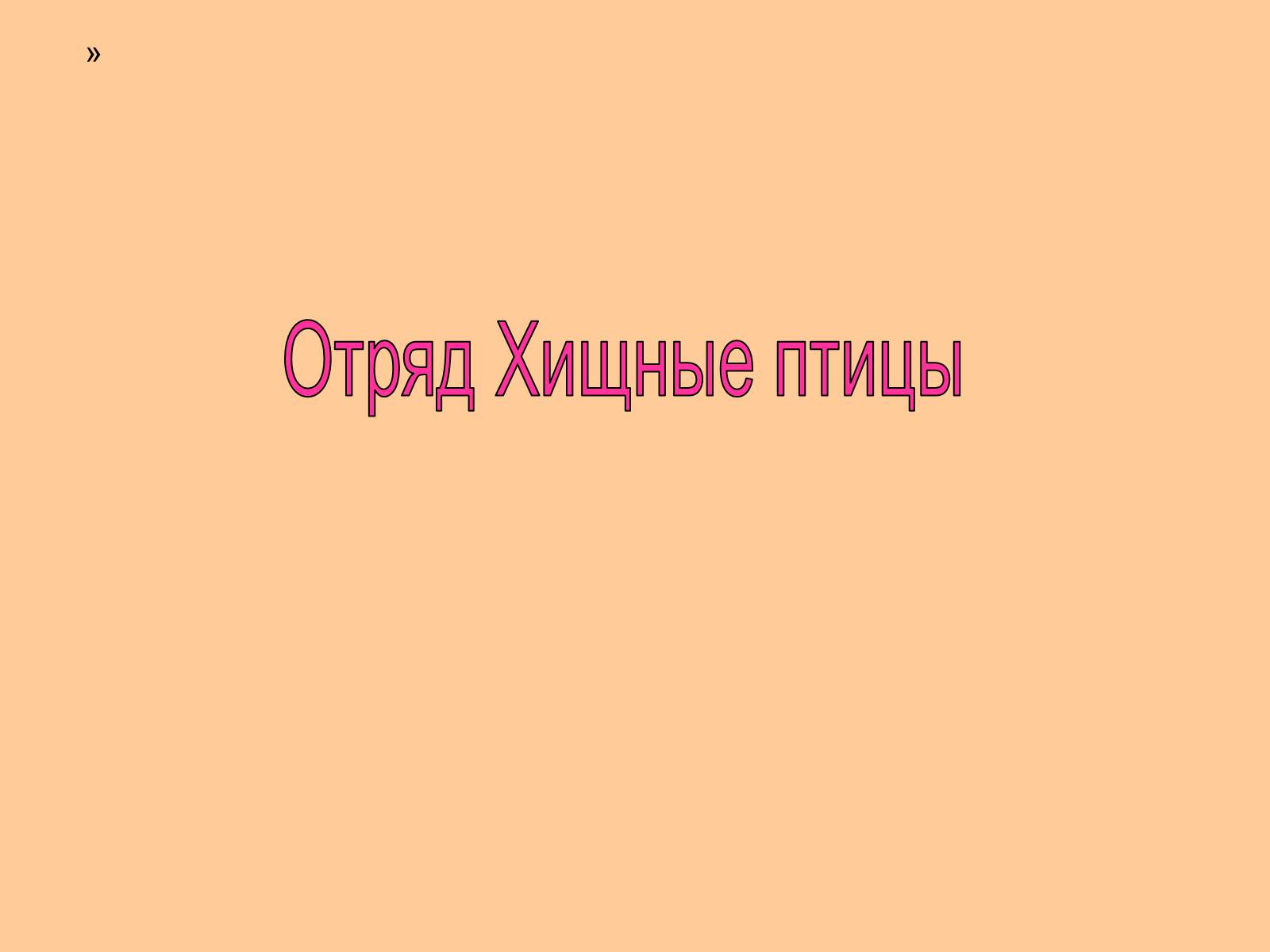 Презентація на тему «Отряд Хищные птицы» - Слайд #1 Презентація на тему «Отряд Хищные птицы» - Слайд #1