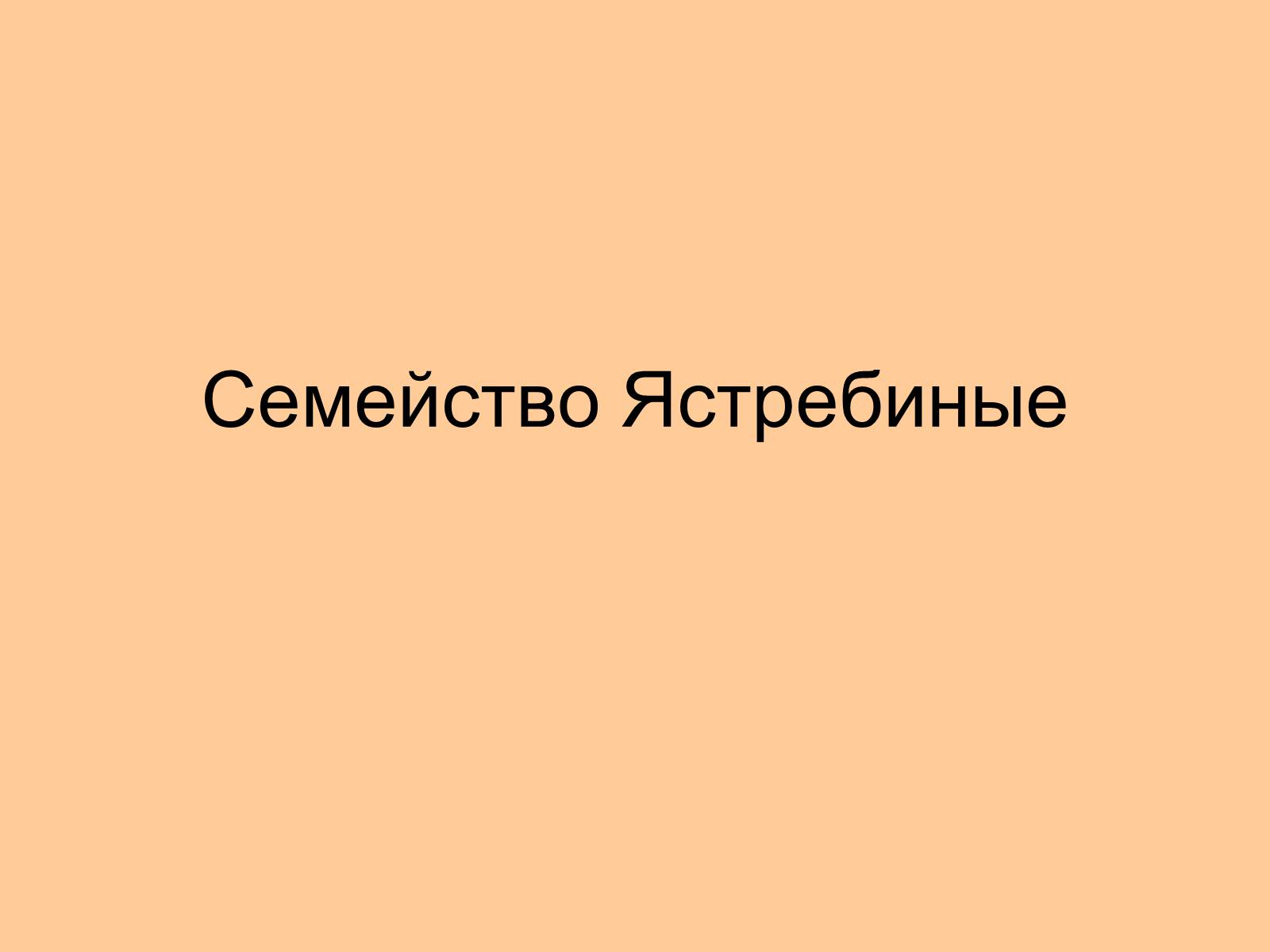 Презентація на тему «Отряд Хищные птицы» - Слайд #10 Презентація на тему «Отряд Хищные птицы» - Слайд #10