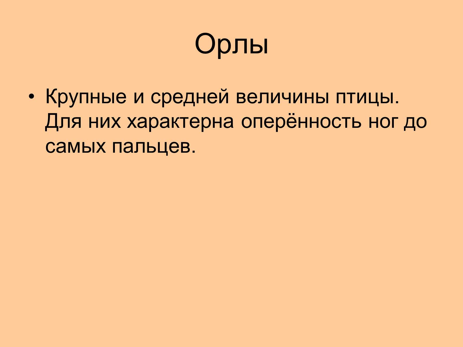 Презентація на тему «Отряд Хищные птицы» - Слайд #14 Презентація на тему «Отряд Хищные птицы» - Слайд #14