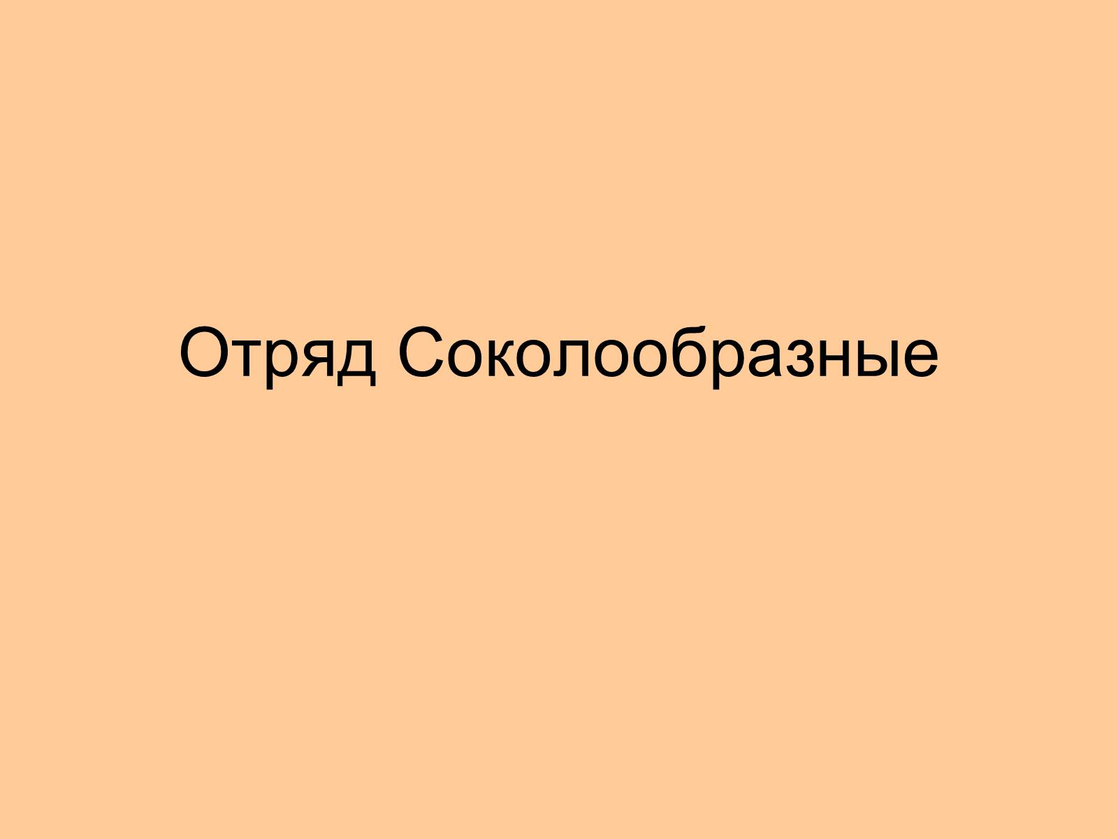 Презентація на тему «Отряд Хищные птицы» - Слайд #4 Презентація на тему «Отряд Хищные птицы» - Слайд #4