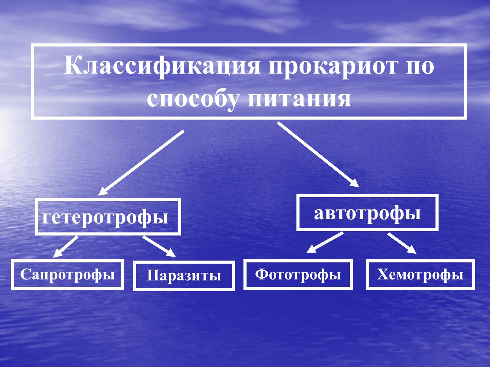 Презентація на тему «Прокариоты» (варіант 2) - Слайд #12 Презентація на тему «Прокариоты» (варіант 2) - Слайд #12