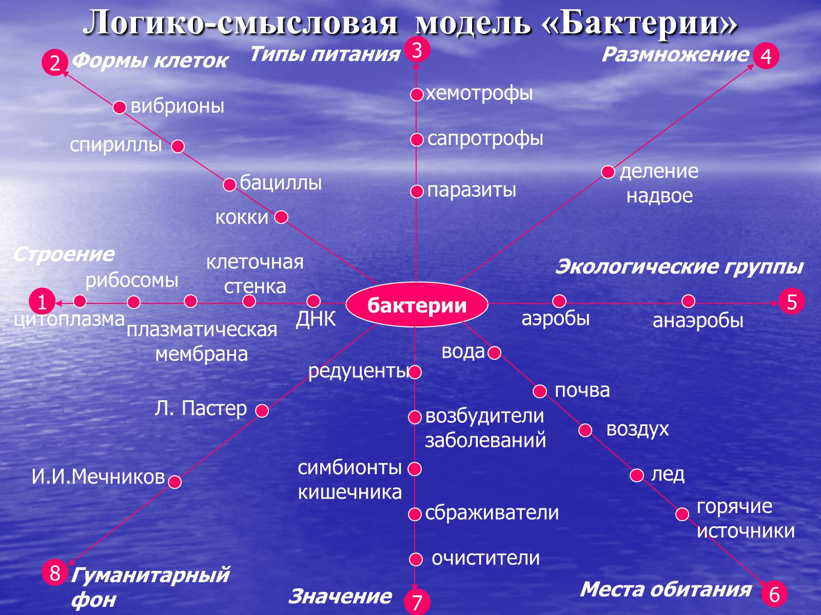 Презентація на тему «Прокариоты» (варіант 2) - Слайд #15 Презентація на тему «Прокариоты» (варіант 2) - Слайд #15