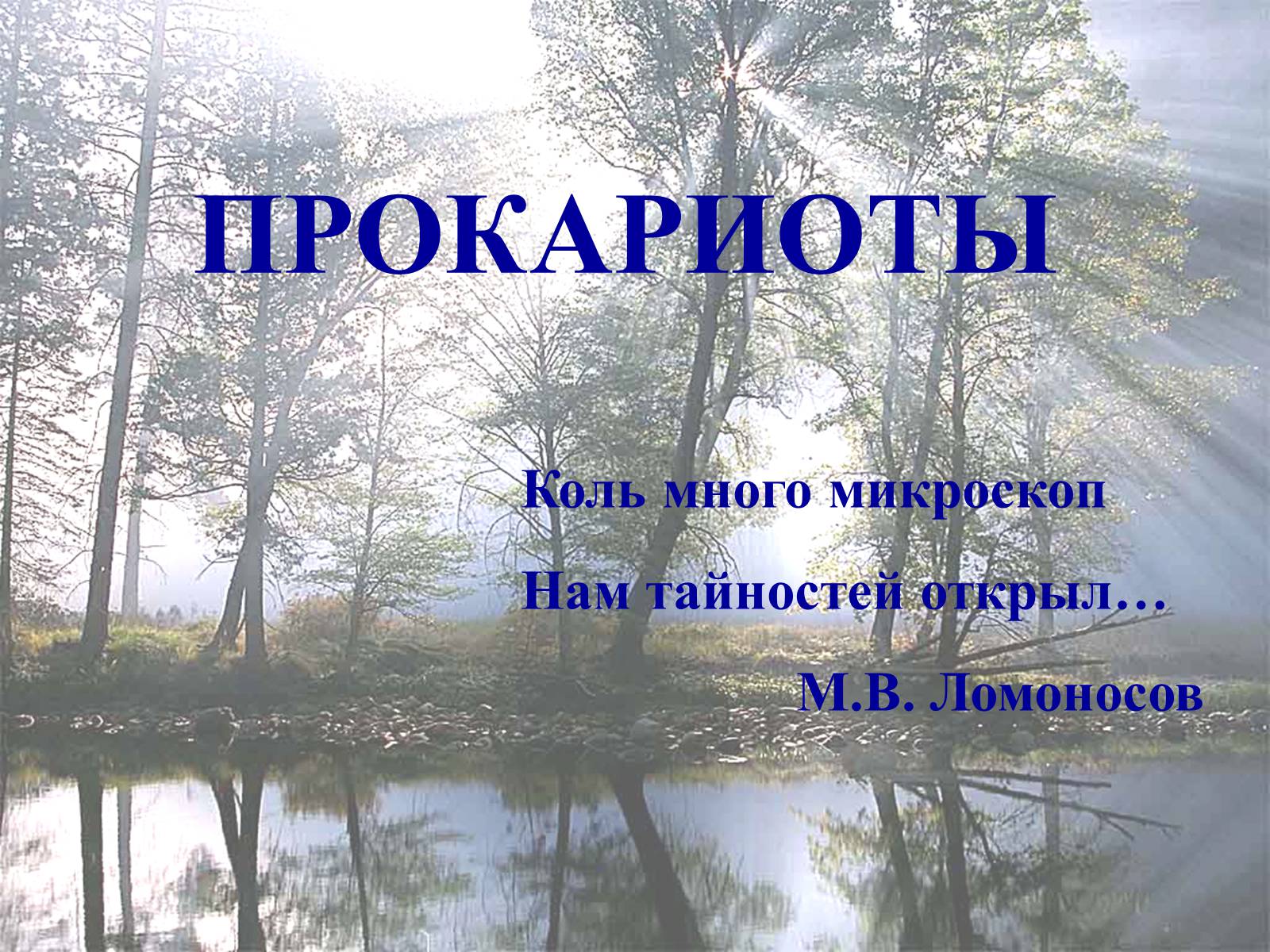 Презентація на тему «Прокариоты» (варіант 2) - Слайд #2 Презентація на тему «Прокариоты» (варіант 2) - Слайд #2