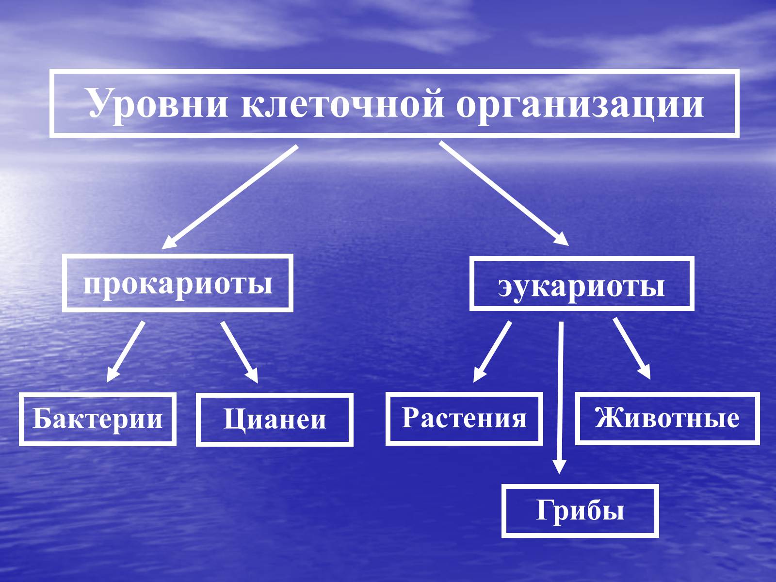 Презентація на тему «Прокариоты» (варіант 2) - Слайд #3 Презентація на тему «Прокариоты» (варіант 2) - Слайд #3