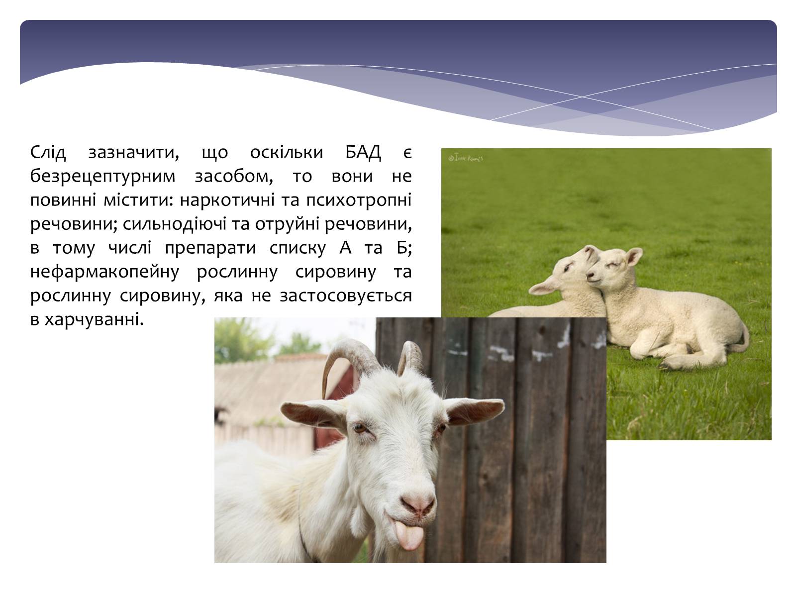 Презентація на тему «Біологічно активні харчові добавки» - Слайд #7 Презентація на тему «Біологічно активні харчові добавки» - Слайд #7