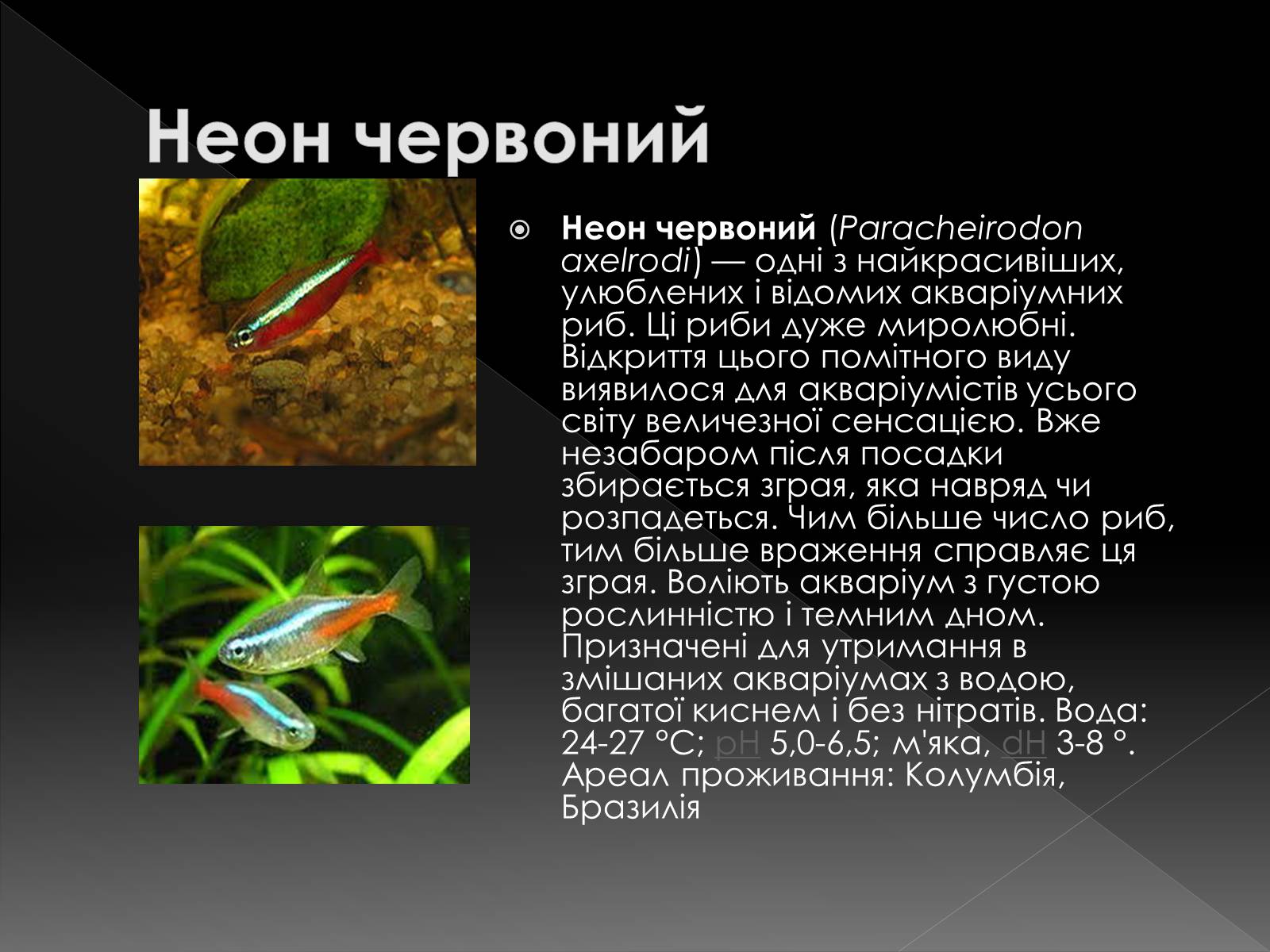 Презентація на тему «Риби наших водойм» - Слайд #10 Презентація на тему «Риби наших водойм» - Слайд #10
