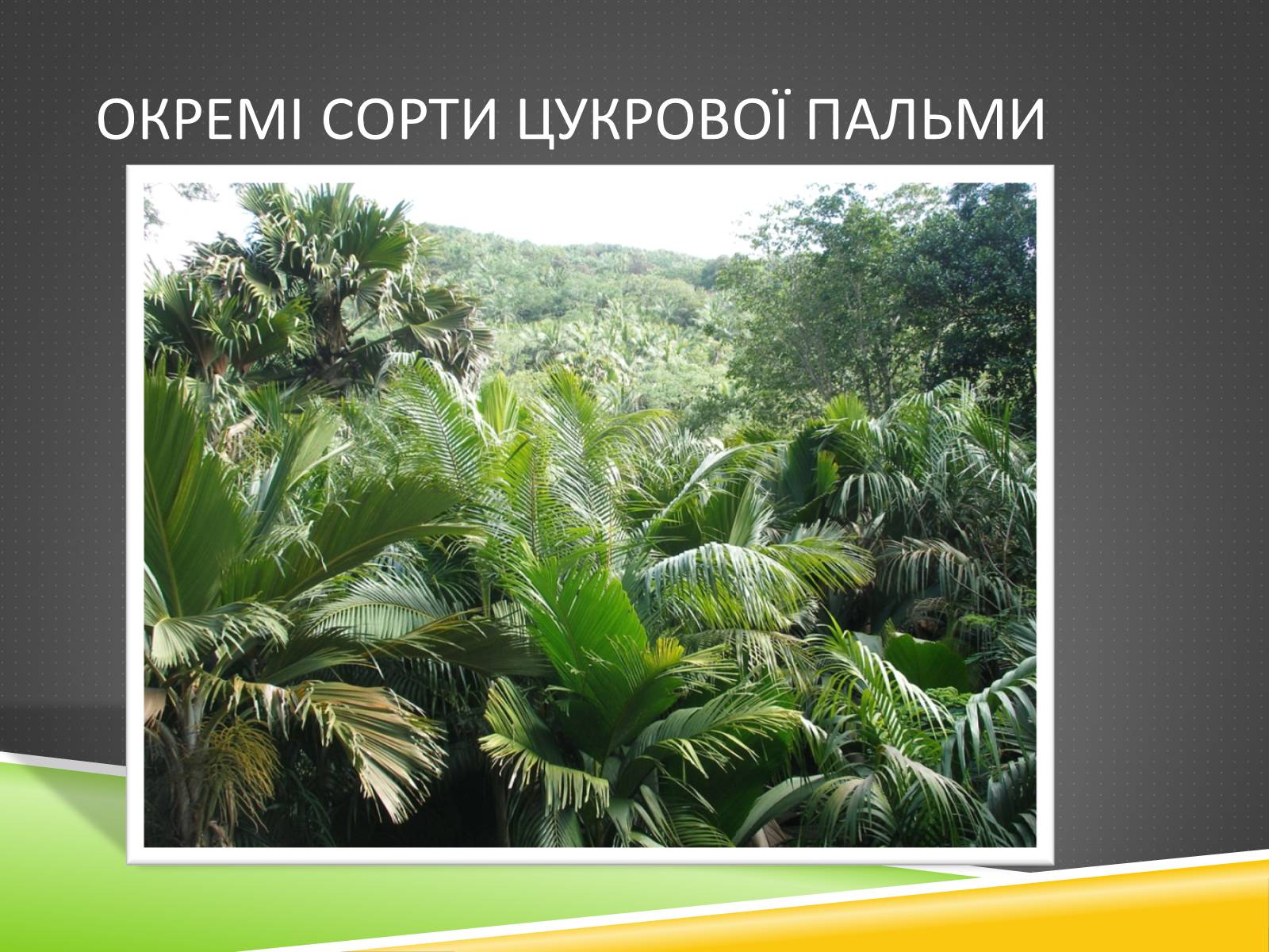 Презентація на тему «Південноазійський тропічний центр різноманітності і походження культурних рослин» - Слайд #16 Презентація на тему «Південноазійський тропічний центр різноманітності і походження культурних рослин» - Слайд #16