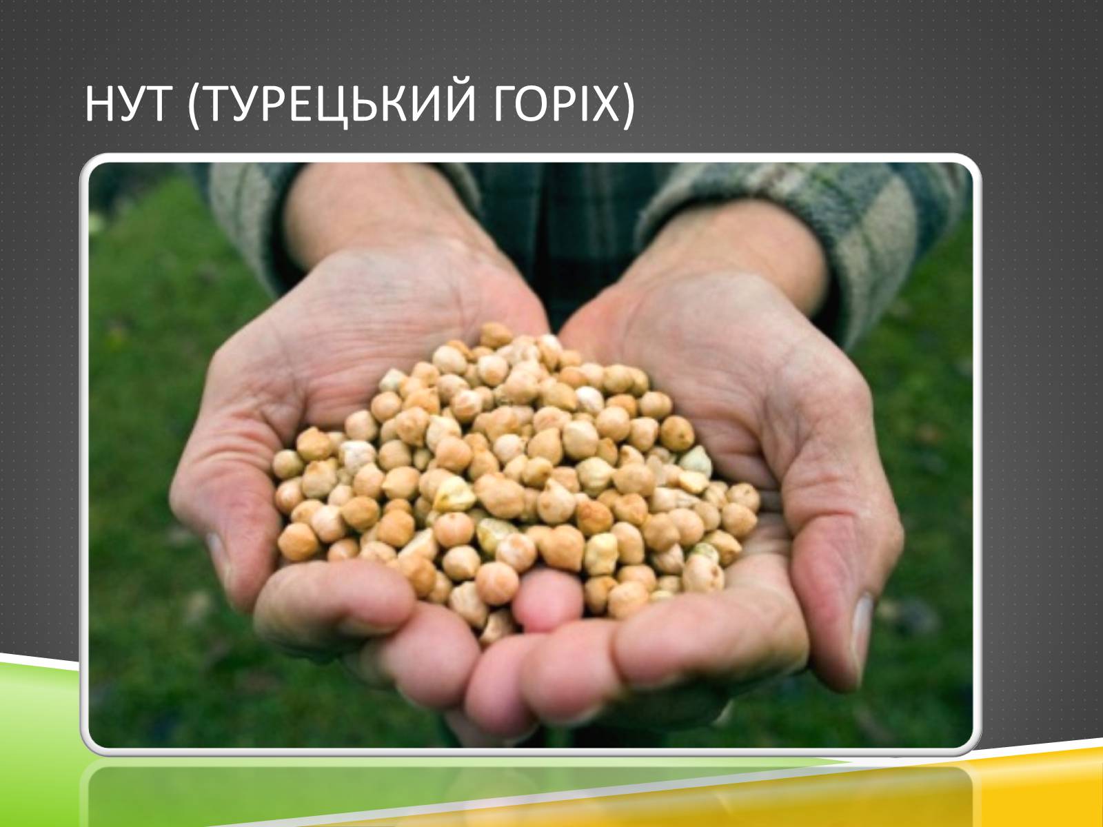 Презентація на тему «Південноазійський тропічний центр різноманітності і походження культурних рослин» - Слайд #9 Презентація на тему «Південноазійський тропічний центр різноманітності і походження культурних рослин» - Слайд #9