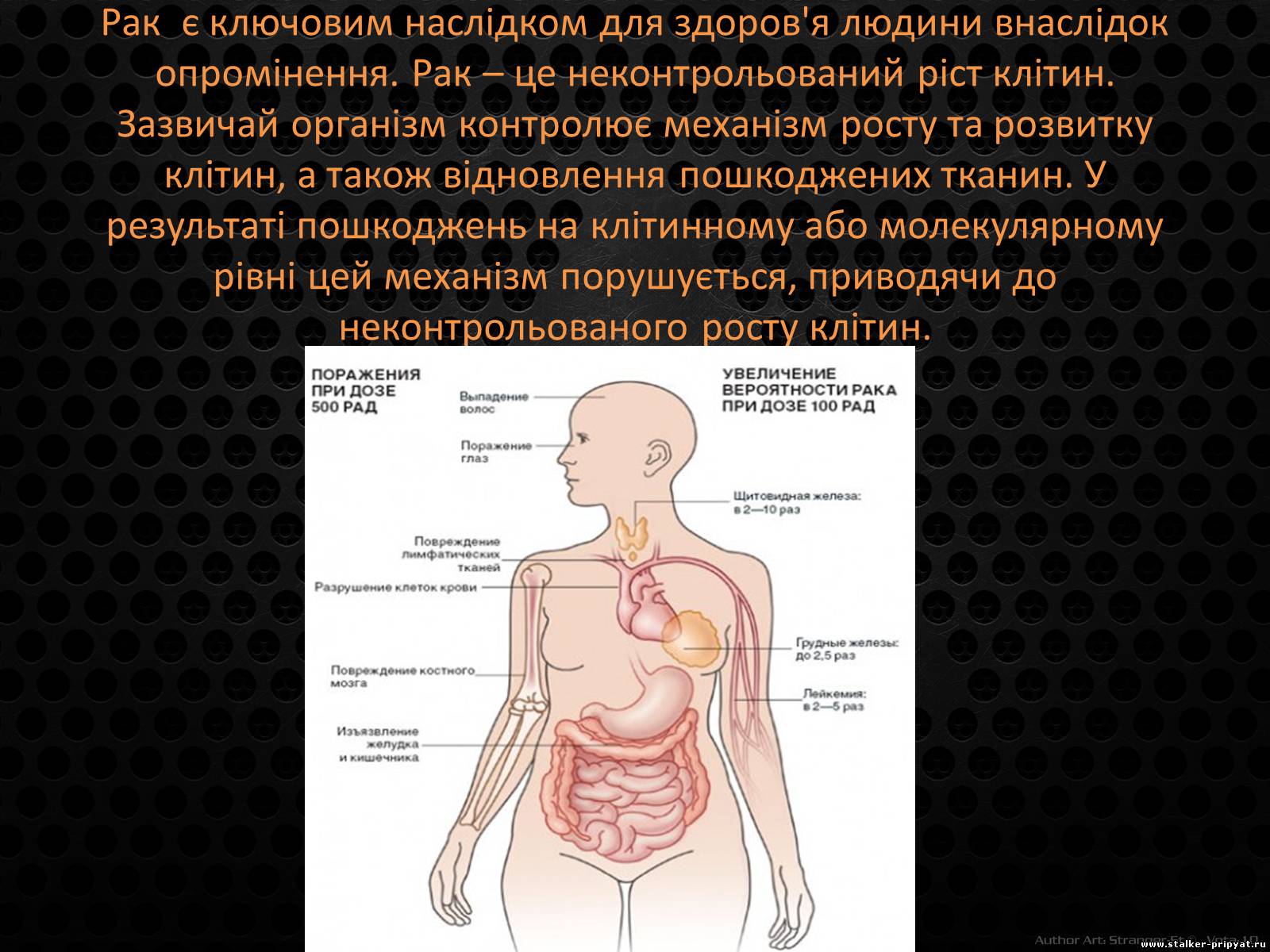 Презентація на тему «Наслідки впливу радіації на організм людини» - Слайд #6 Презентація на тему «Наслідки впливу радіації на організм людини» - Слайд #6