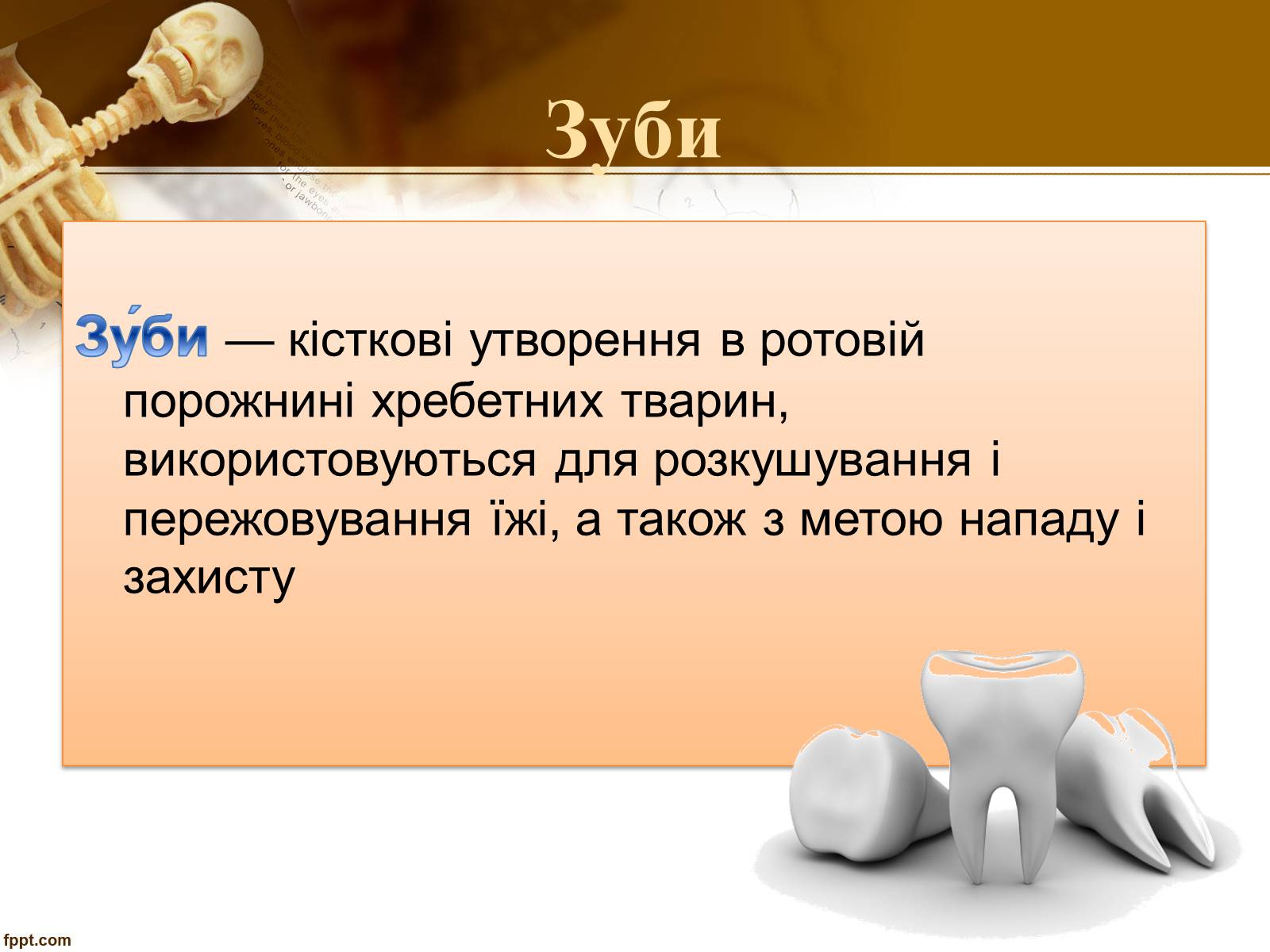 Презентація на тему «Бережіть свої зуби» - Слайд #2 Презентація на тему «Бережіть свої зуби» - Слайд #2