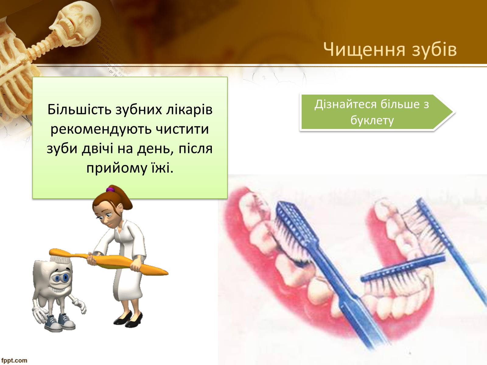 Презентація на тему «Бережіть свої зуби» - Слайд #23 Презентація на тему «Бережіть свої зуби» - Слайд #23