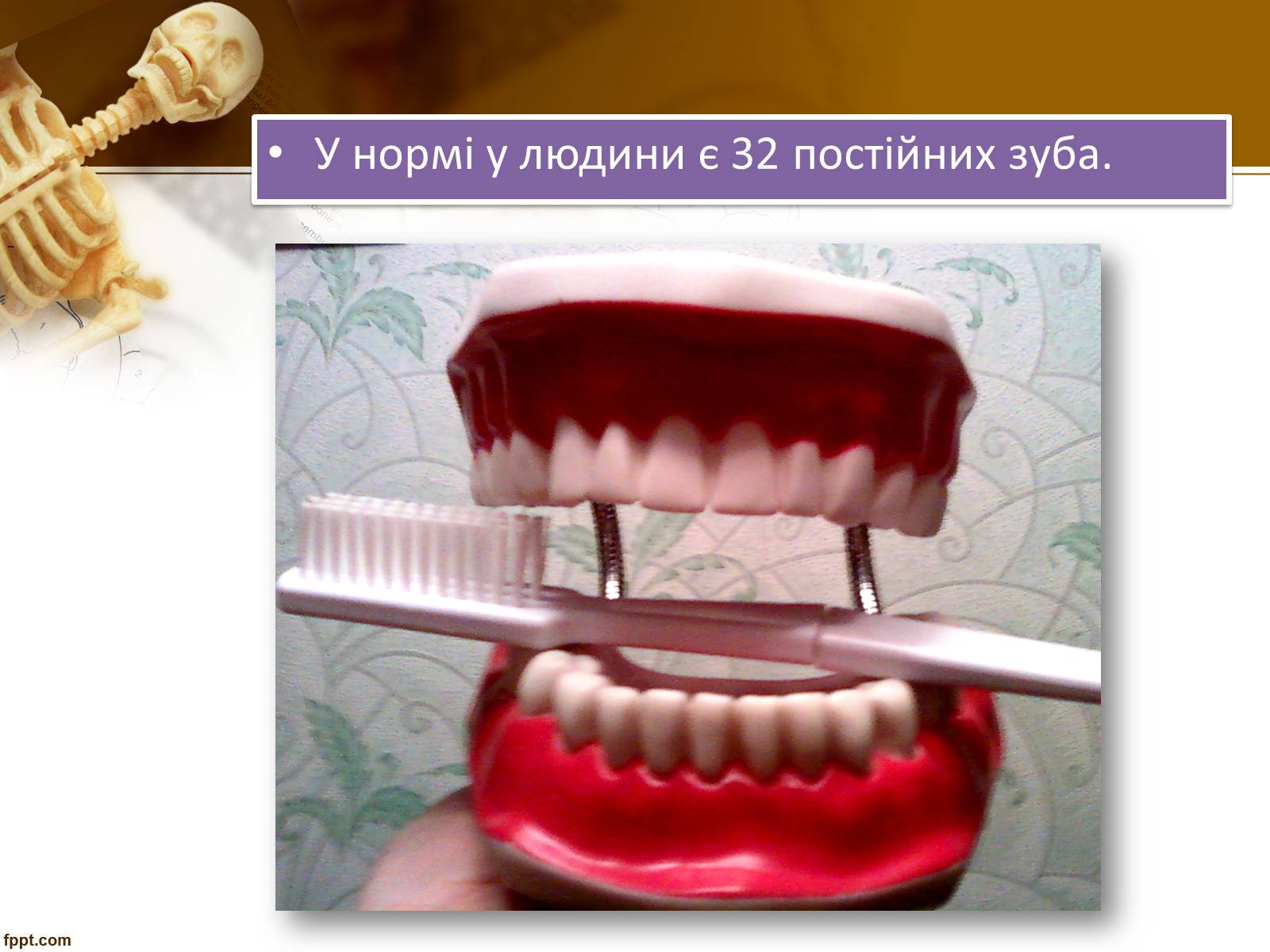 Презентація на тему «Бережіть свої зуби» - Слайд #4 Презентація на тему «Бережіть свої зуби» - Слайд #4