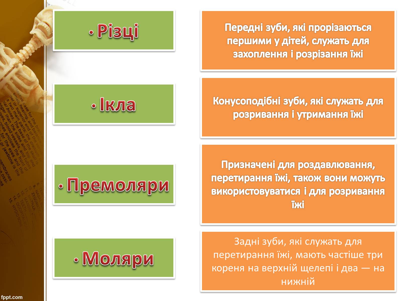 Презентація на тему «Бережіть свої зуби» - Слайд #6 Презентація на тему «Бережіть свої зуби» - Слайд #6