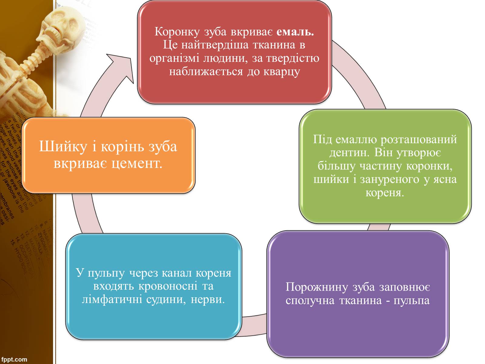 Презентація на тему «Бережіть свої зуби» - Слайд #8 Презентація на тему «Бережіть свої зуби» - Слайд #8