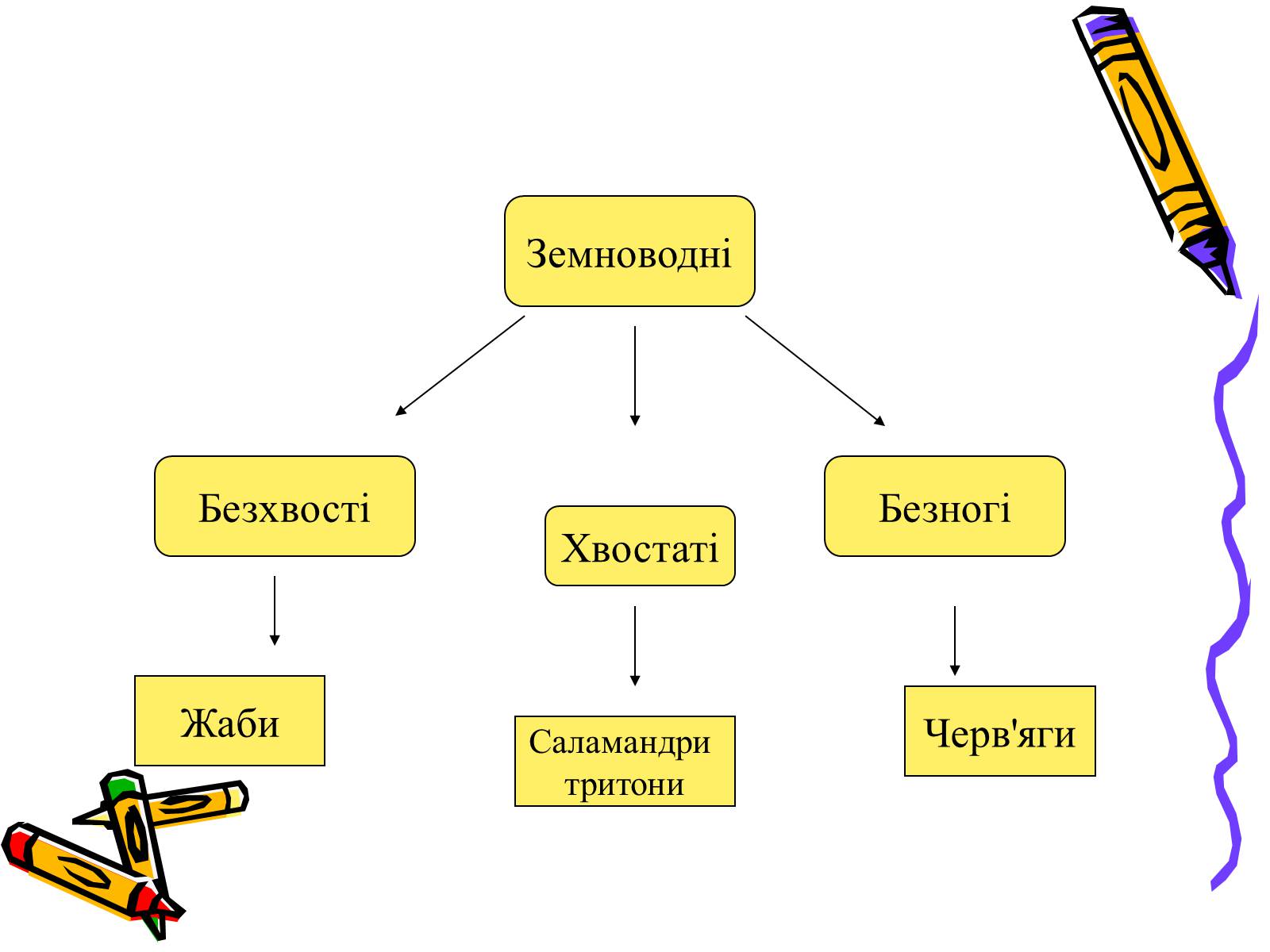 Презентація на тему «Земноводні» (варіант 2) - Слайд #7 Презентація на тему «Земноводні» (варіант 2) - Слайд #7