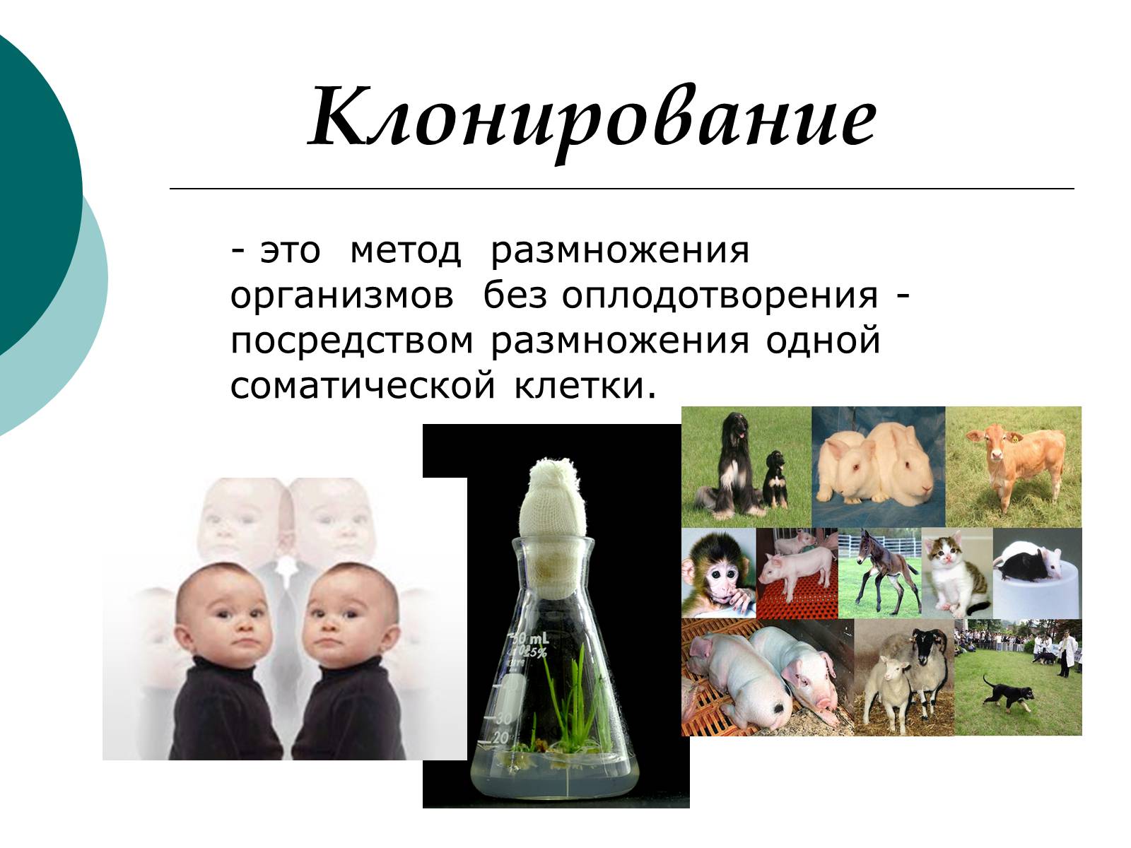 Презентація на тему «Клонирование» - Слайд #1 Презентація на тему «Клонирование» - Слайд #1