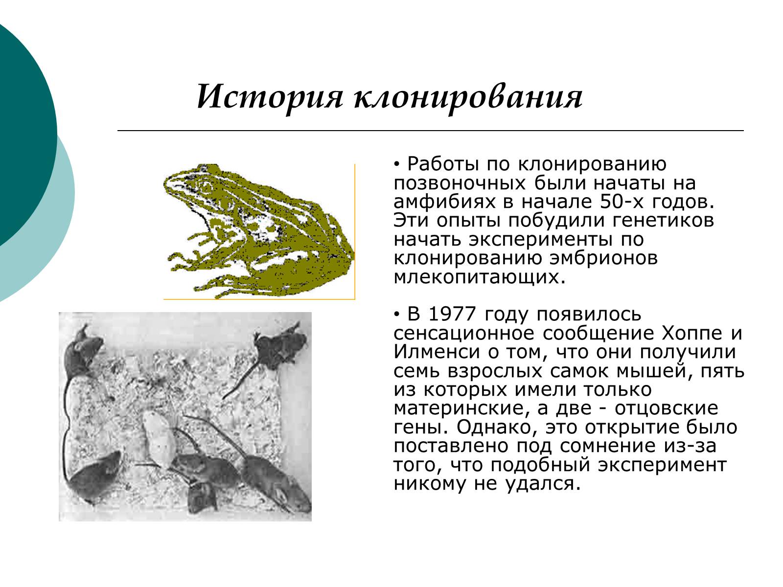 Презентація на тему «Клонирование» - Слайд #2 Презентація на тему «Клонирование» - Слайд #2