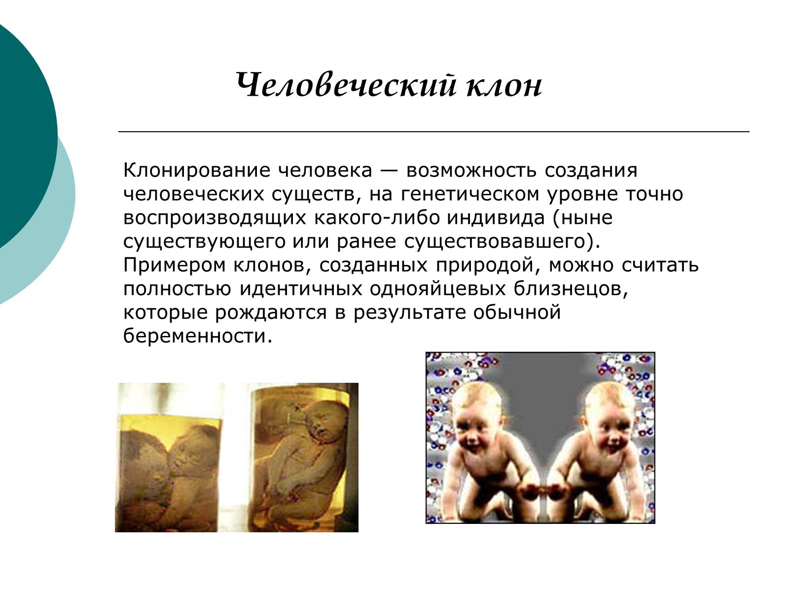 Презентація на тему «Клонирование» - Слайд #6 Презентація на тему «Клонирование» - Слайд #6