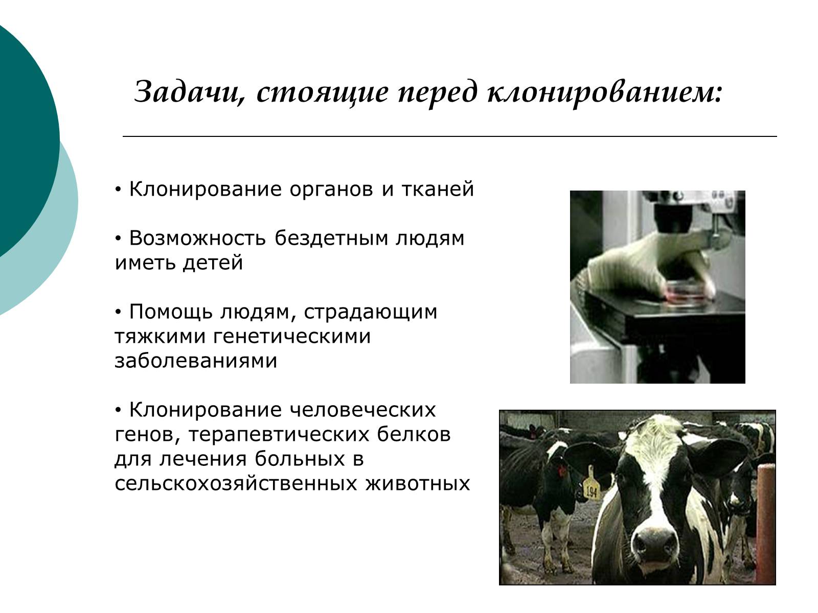 Презентація на тему «Клонирование» - Слайд #8 Презентація на тему «Клонирование» - Слайд #8