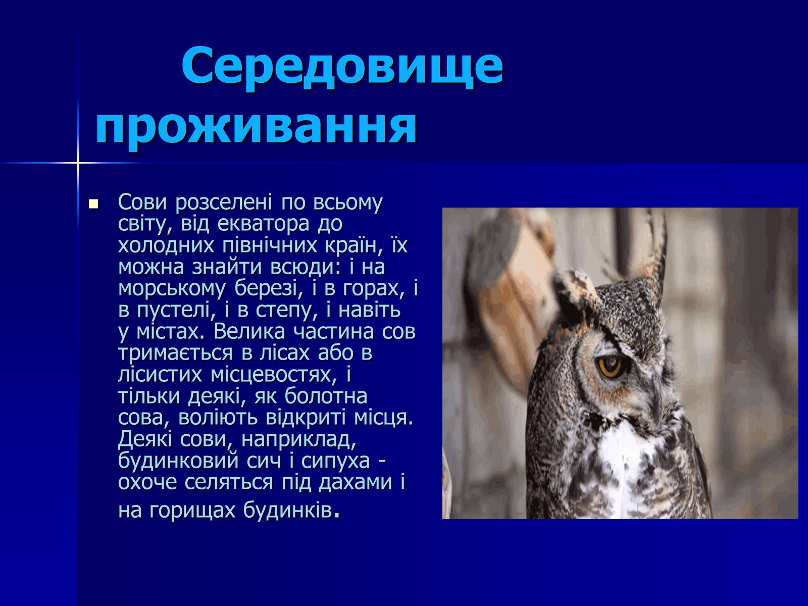 Презентація на тему «Совоподібні» (варіант 2) - Слайд #5 Презентація на тему «Совоподібні» (варіант 2) - Слайд #5