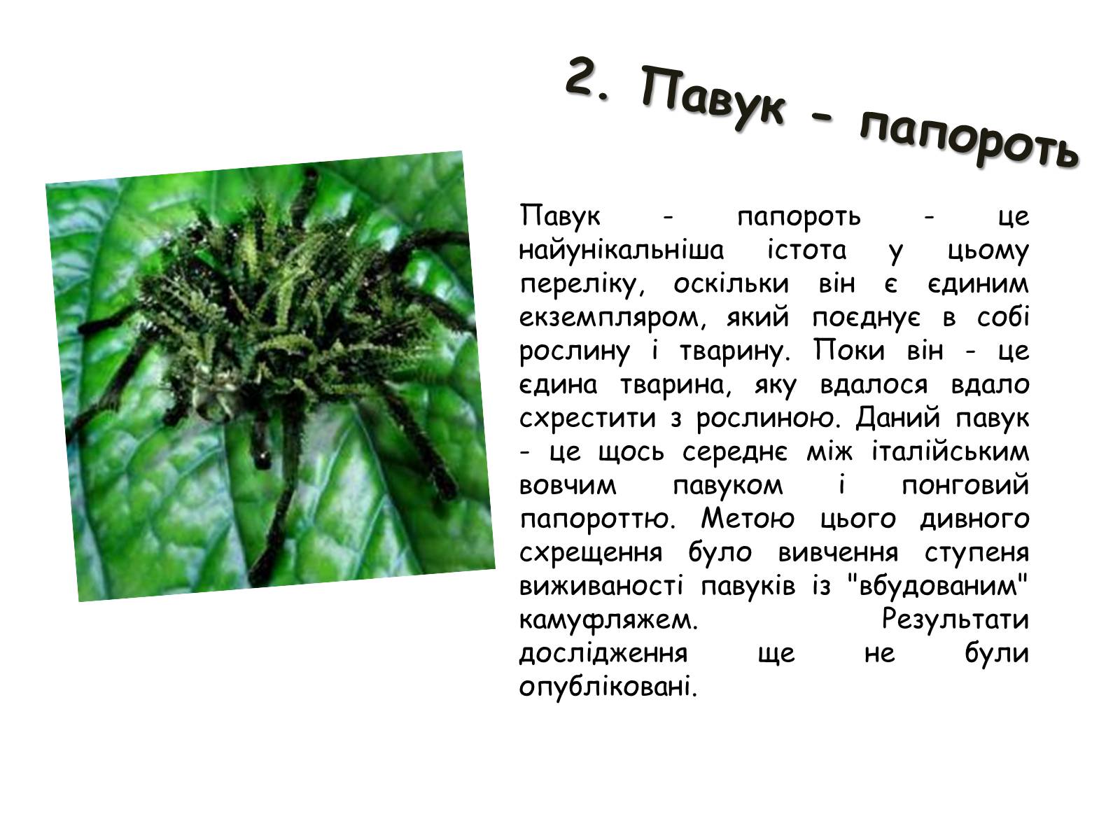 Презентація на тему «Генетично модифіковані організми» (варіант 2) - Слайд #13 Презентація на тему «Генетично модифіковані організми» (варіант 2) - Слайд #13