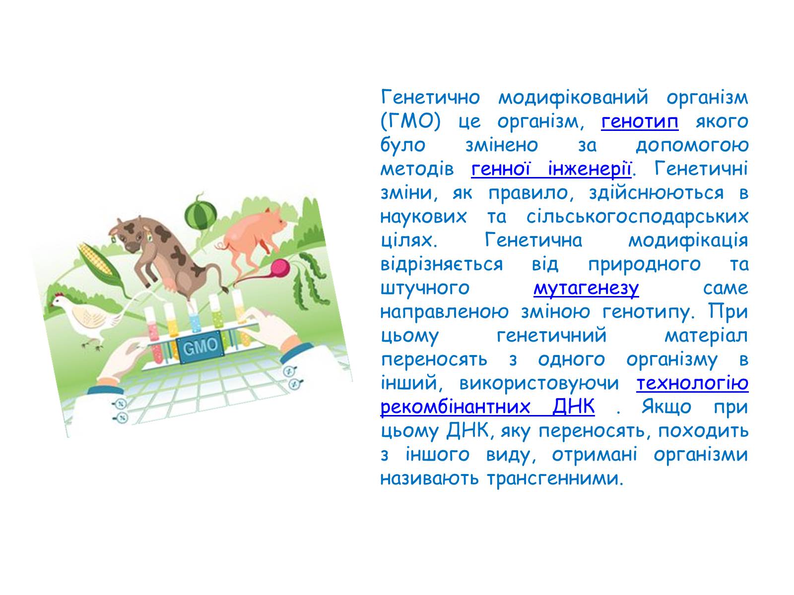 Презентація на тему «Генетично модифіковані організми» (варіант 2) - Слайд #2 Презентація на тему «Генетично модифіковані організми» (варіант 2) - Слайд #2