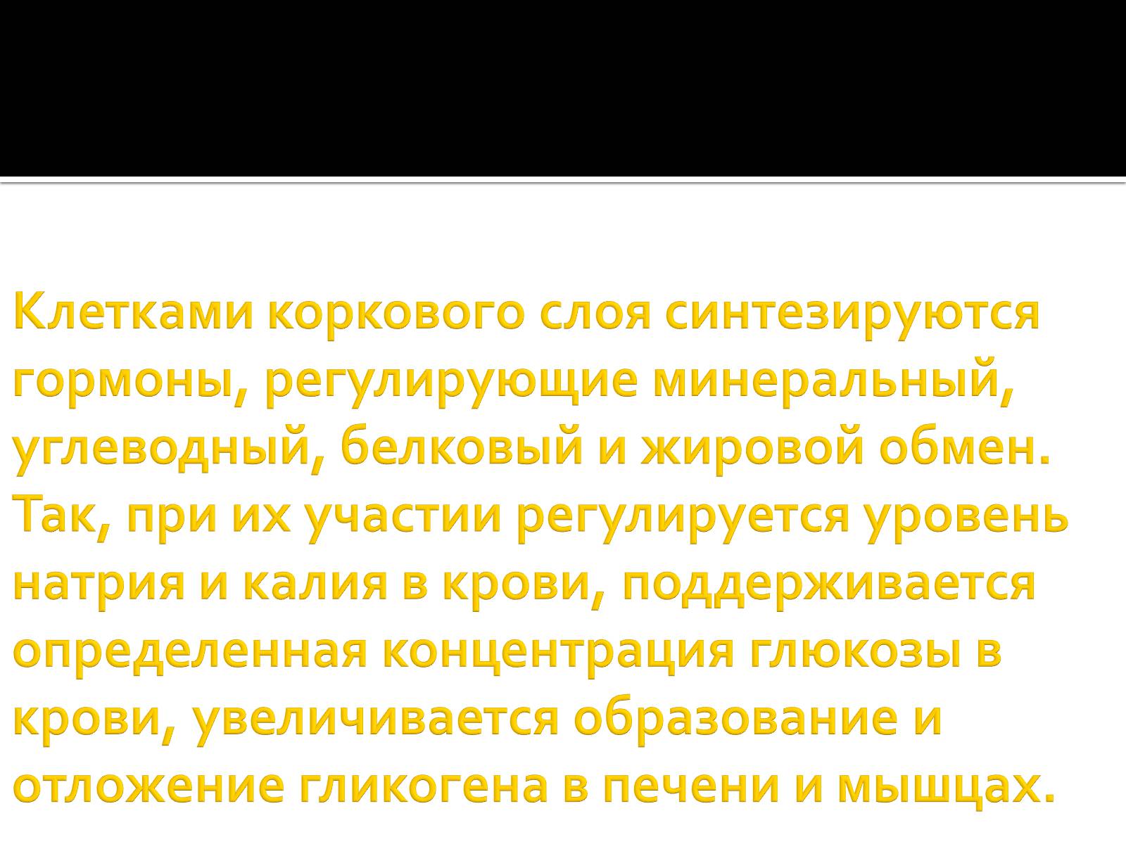Презентація на тему «Железы внутренней секреции» (варіант 1) - Слайд #26 Презентація на тему «Железы внутренней секреции» (варіант 1) - Слайд #26
