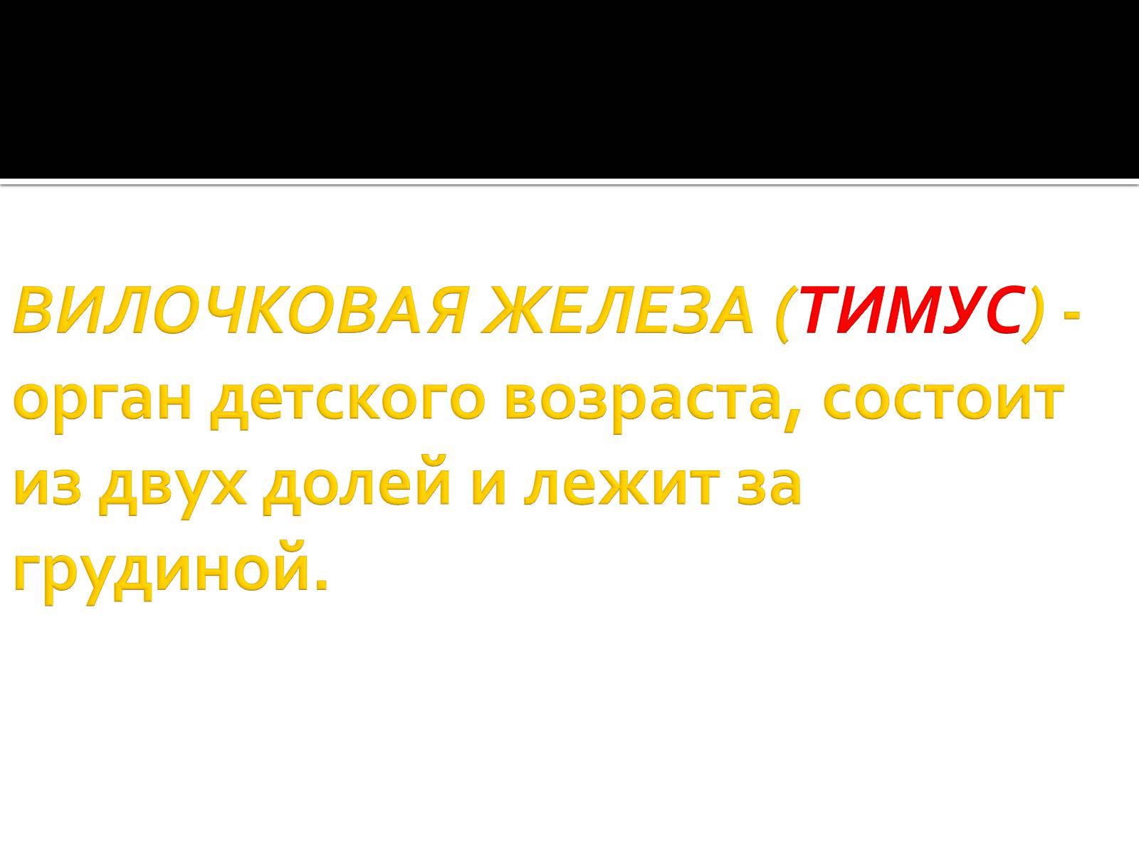 Презентація на тему «Железы внутренней секреции» (варіант 1) - Слайд #31 Презентація на тему «Железы внутренней секреции» (варіант 1) - Слайд #31