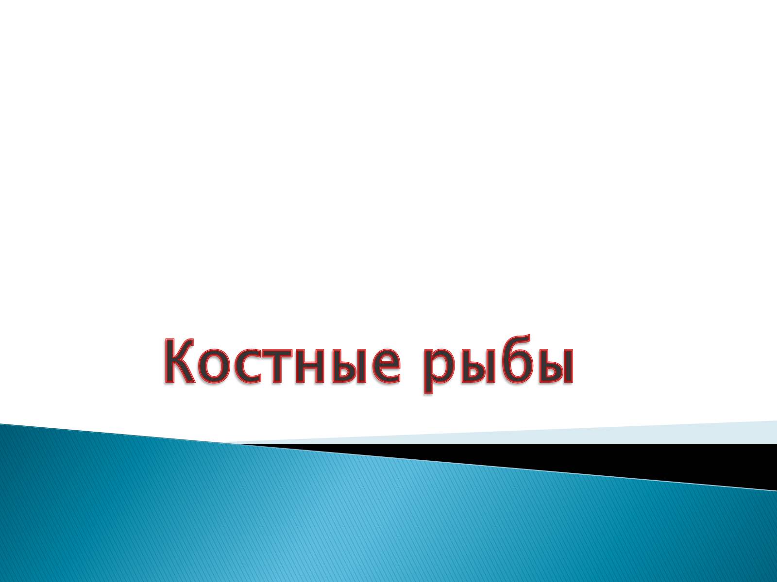 Презентація на тему «Костные рыбы» - Слайд #1 Презентація на тему «Костные рыбы» - Слайд #1