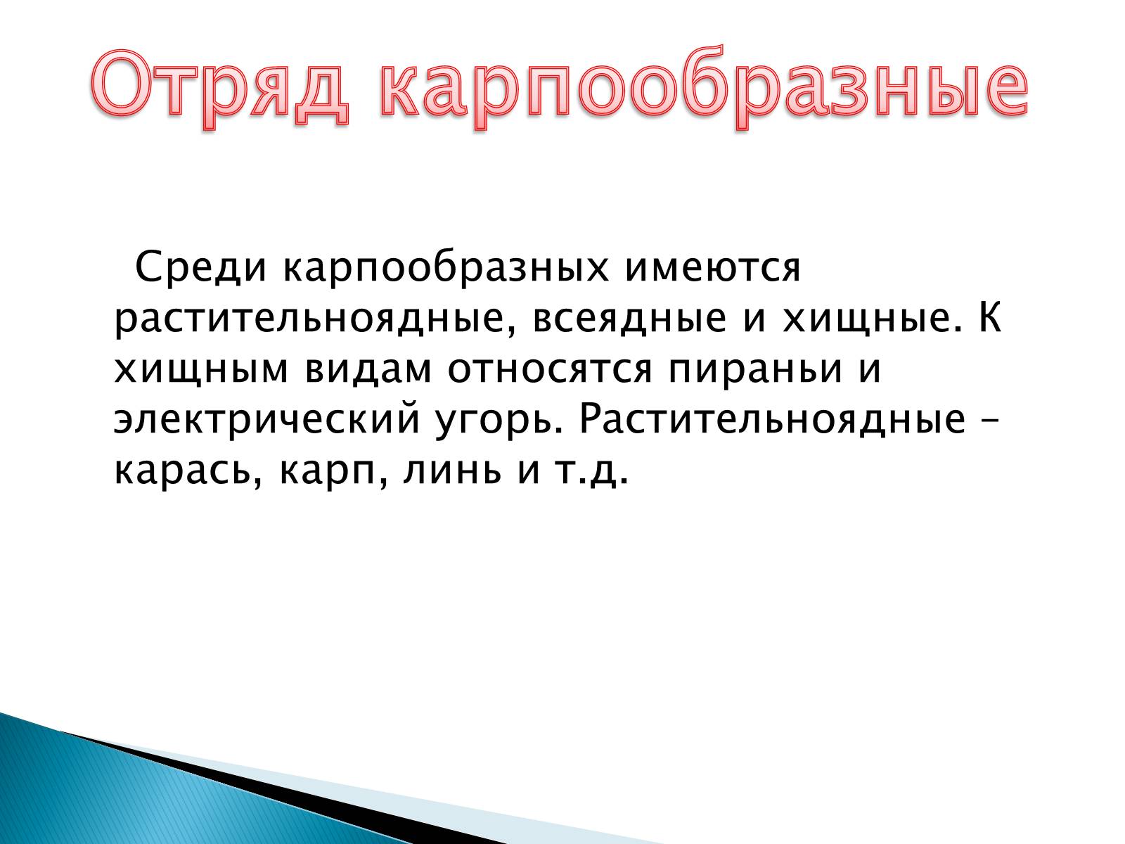 Презентація на тему «Костные рыбы» - Слайд #19 Презентація на тему «Костные рыбы» - Слайд #19