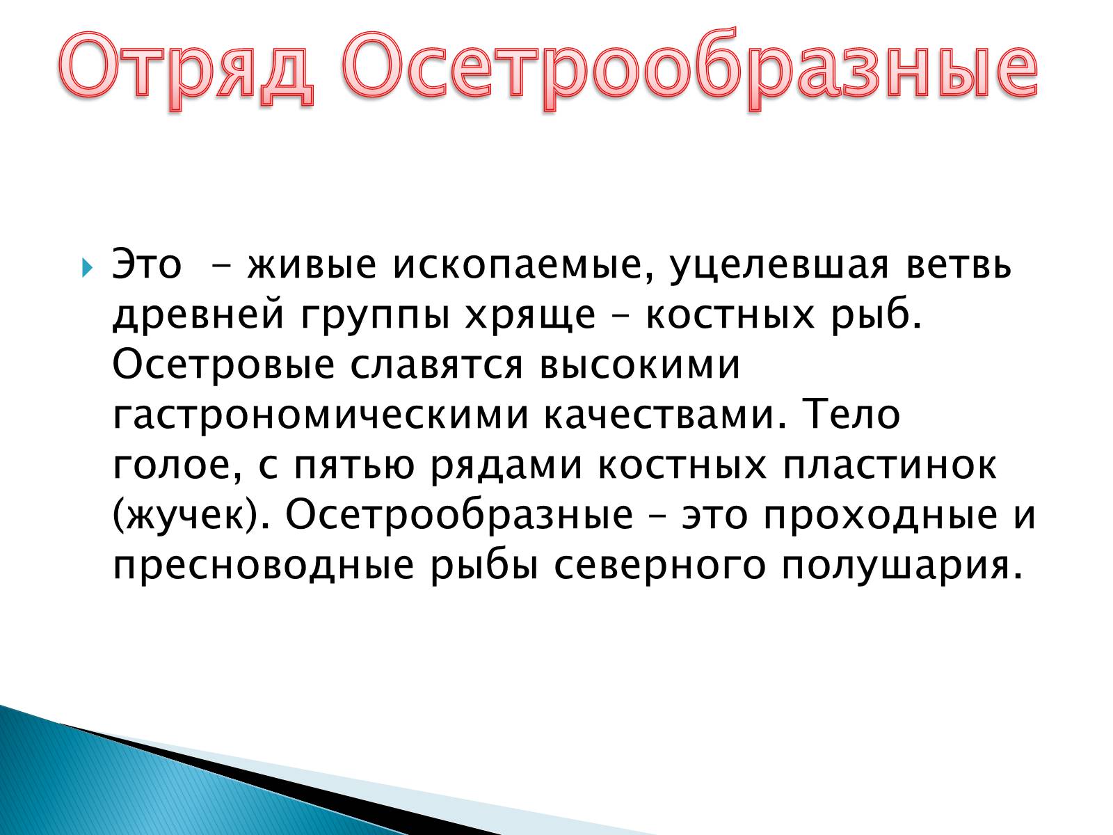Презентація на тему «Костные рыбы» - Слайд #5 Презентація на тему «Костные рыбы» - Слайд #5