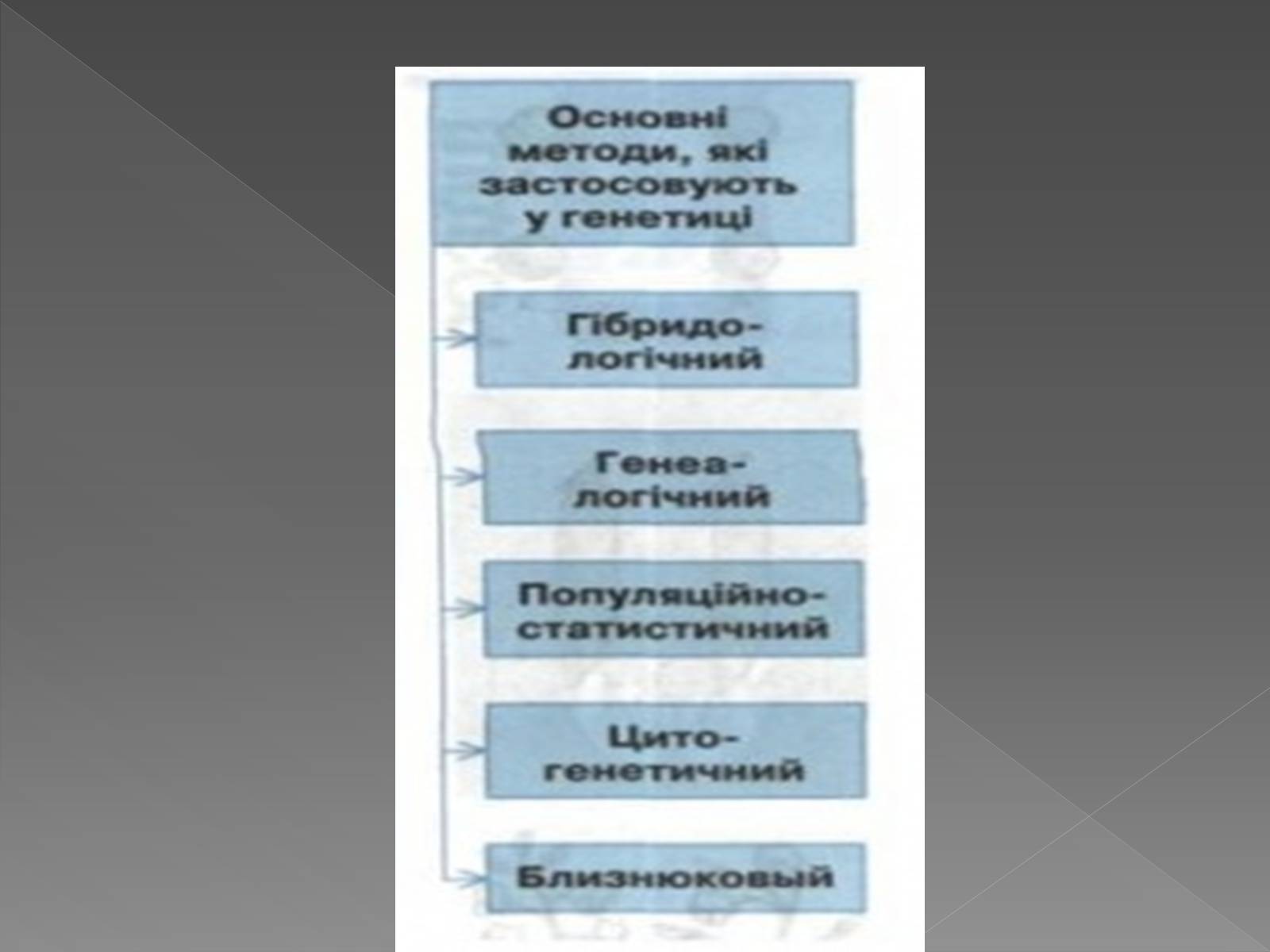 Презентація на тему «Методи генетичних досліджень» (варіант 3) - Слайд #2 Презентація на тему «Методи генетичних досліджень» (варіант 3) - Слайд #2