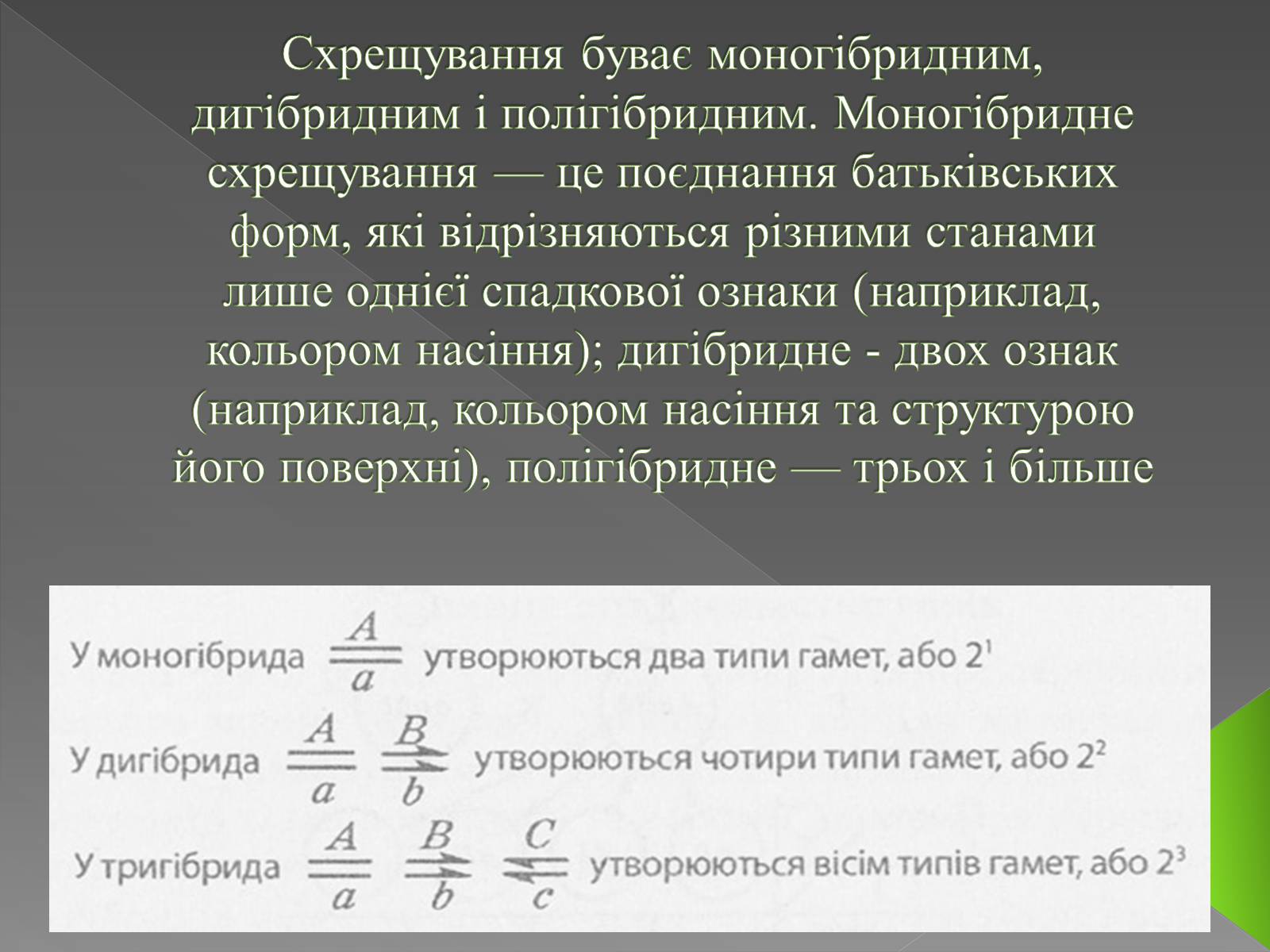 Презентація на тему «Методи генетичних досліджень» (варіант 3) - Слайд #4 Презентація на тему «Методи генетичних досліджень» (варіант 3) - Слайд #4