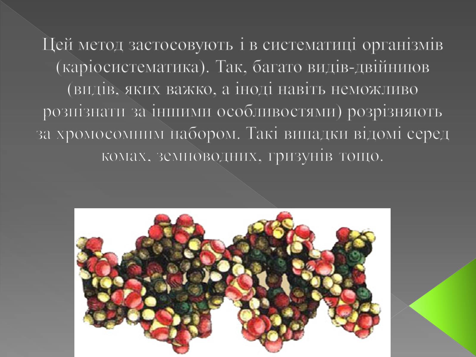 Презентація на тему «Методи генетичних досліджень» (варіант 3) - Слайд #7 Презентація на тему «Методи генетичних досліджень» (варіант 3) - Слайд #7