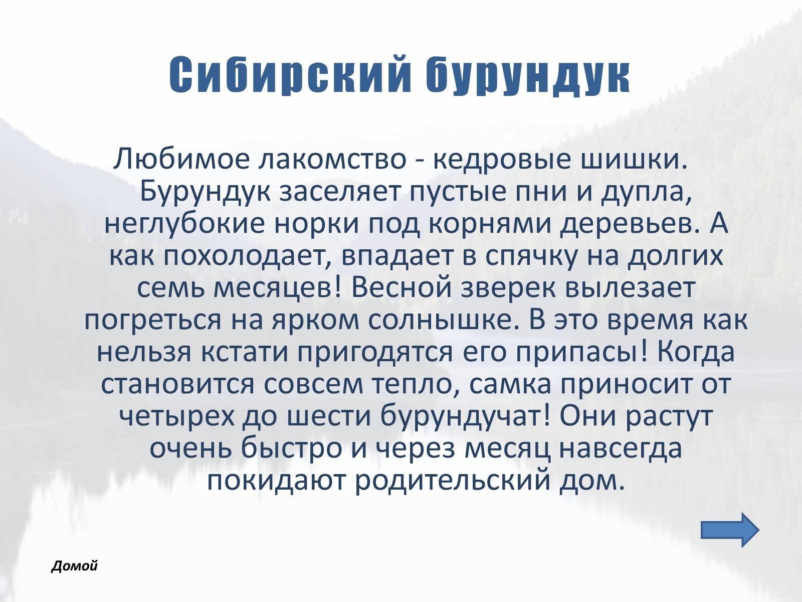 Презентація на тему «Обитатели Тайги» - Слайд #4 Презентація на тему «Обитатели Тайги» - Слайд #4