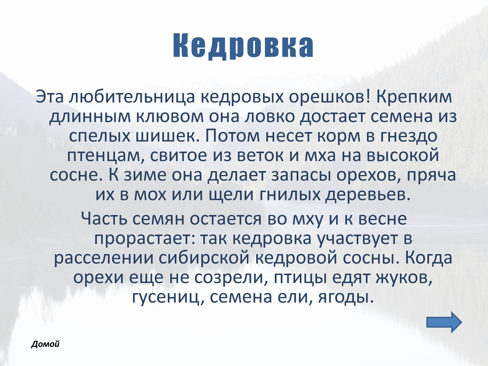 Презентація на тему «Обитатели Тайги» - Слайд #6 Презентація на тему «Обитатели Тайги» - Слайд #6