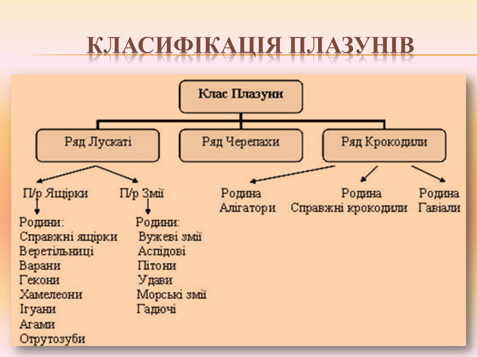 Презентація на тему «Різноманітність і охорона плазунів» - Слайд #4 Презентація на тему «Різноманітність і охорона плазунів» - Слайд #4