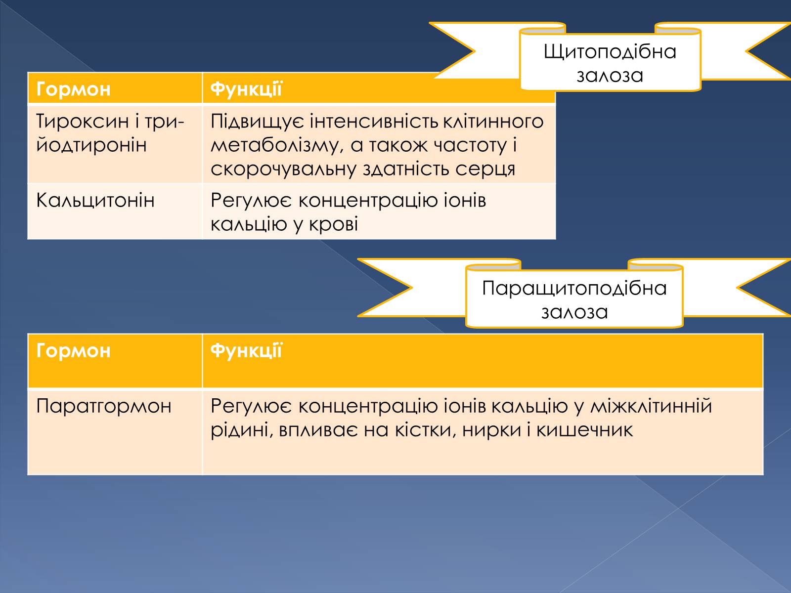 Презентація на тему «Гуморальна регуляція» - Слайд #7 Презентація на тему «Гуморальна регуляція» - Слайд #7
