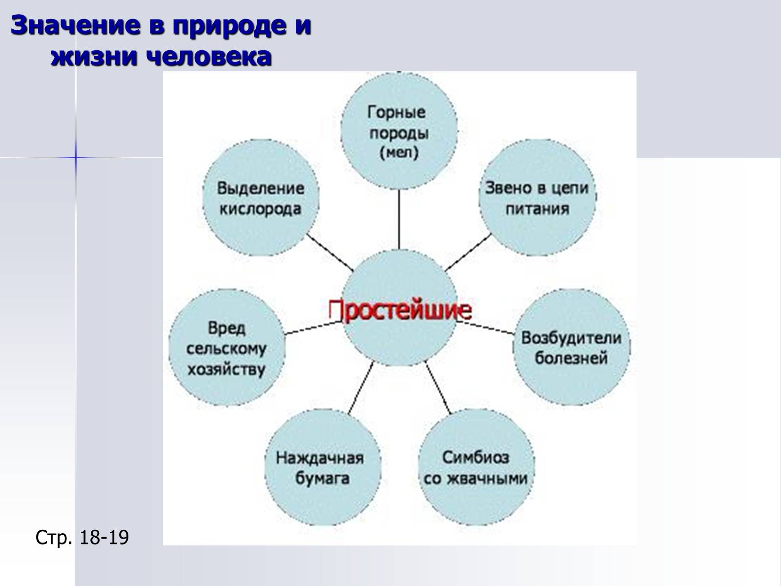 Презентація на тему «Тип Простейшие. Систематические группы» - Слайд #16 Презентація на тему «Тип Простейшие. Систематические группы» - Слайд #16