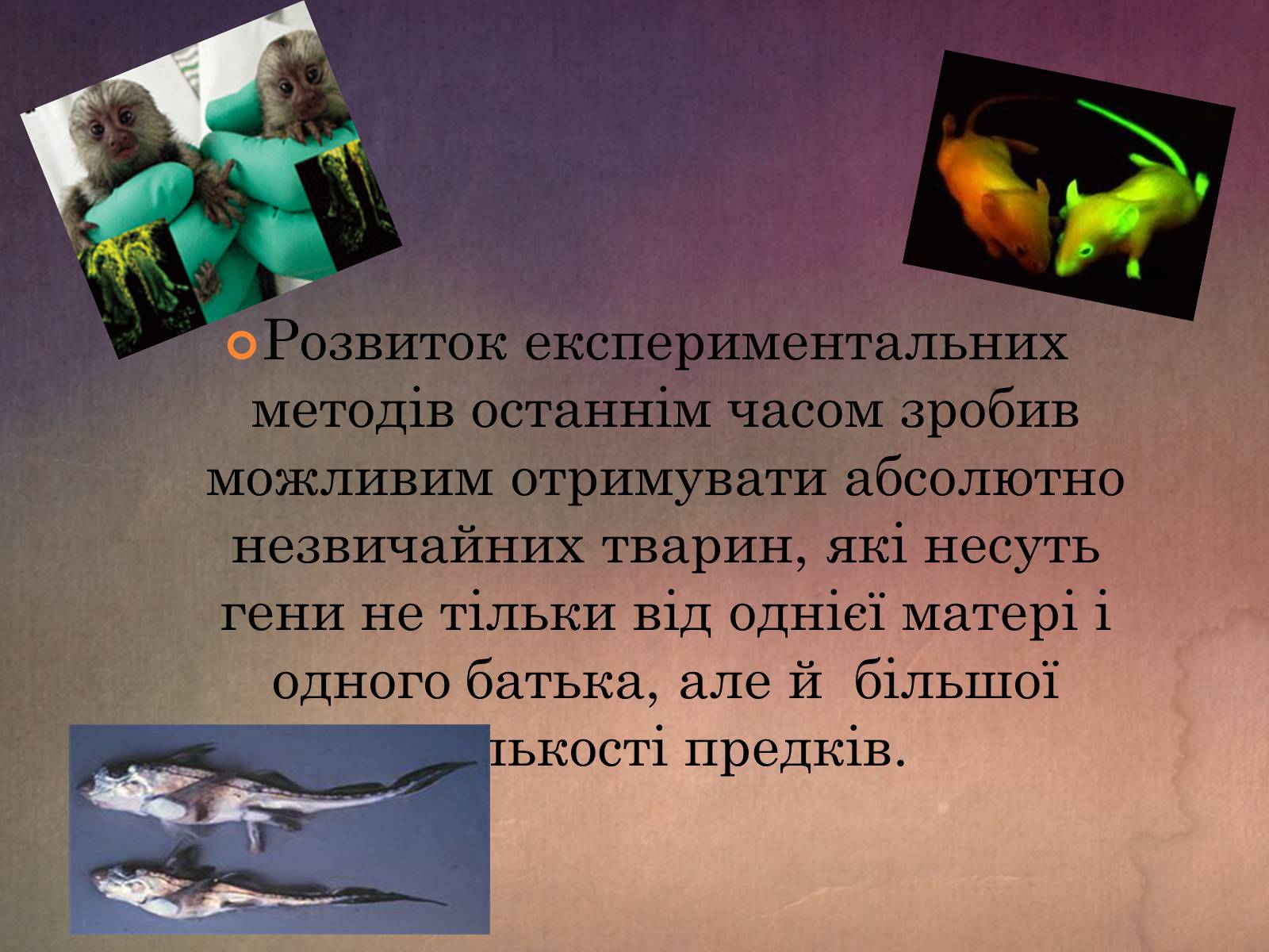 Презентація на тему «Химерні організми» - Слайд #2 Презентація на тему «Химерні організми» - Слайд #2