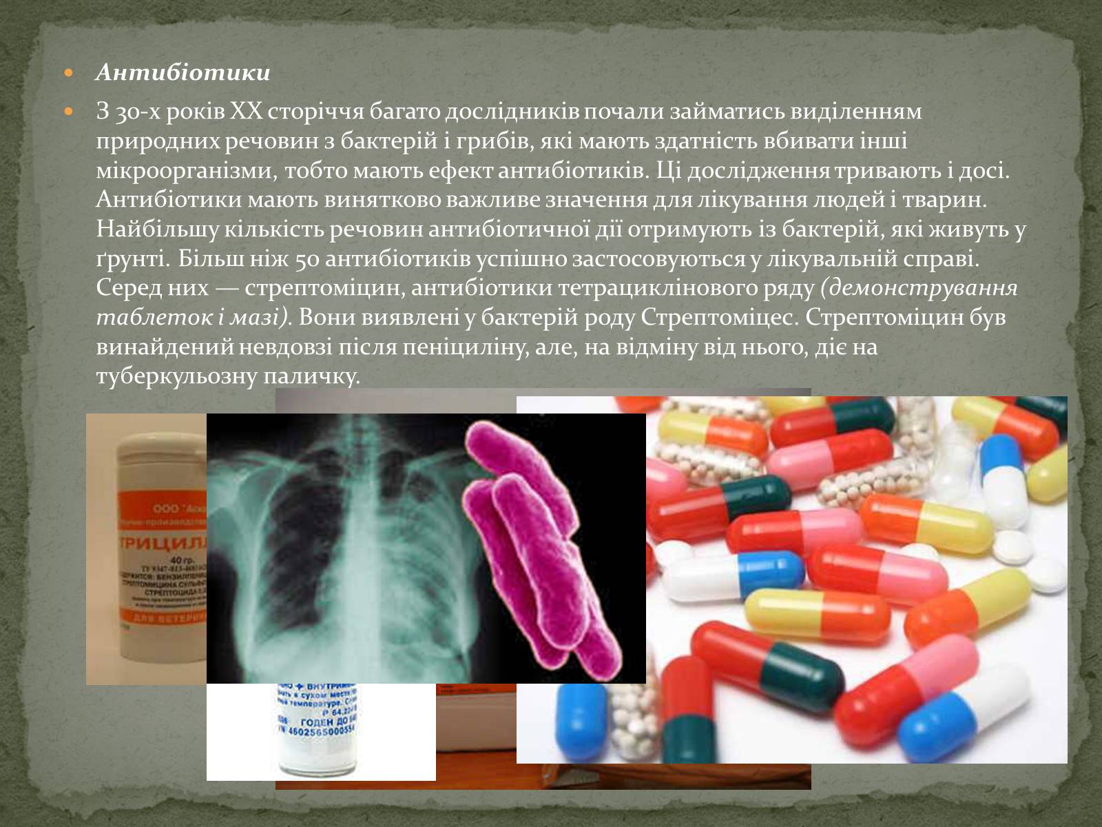 Презентація на тему «Корисні бактерії» (варіант 1) - Слайд #17 Презентація на тему «Корисні бактерії» (варіант 1) - Слайд #17