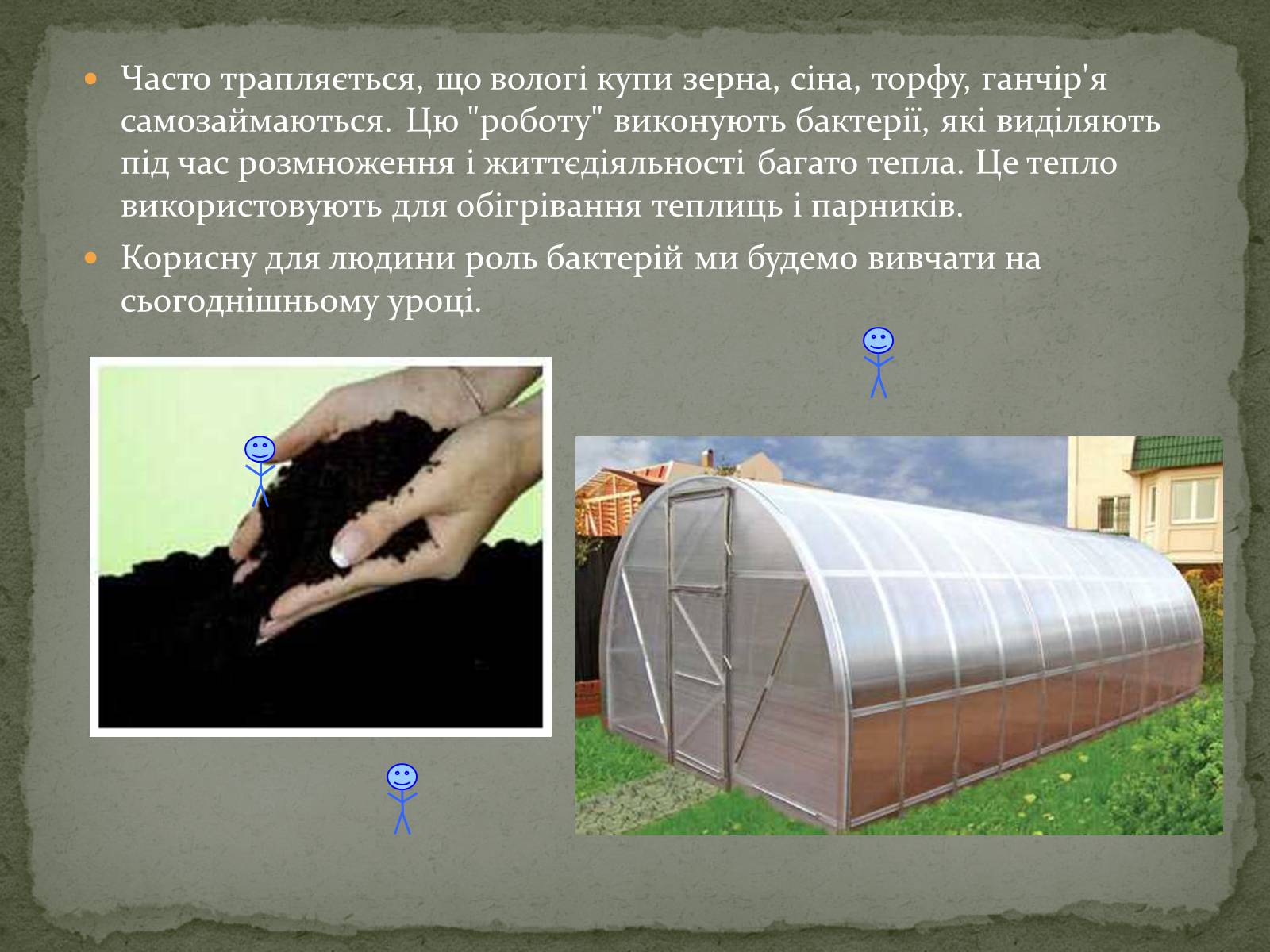Презентація на тему «Корисні бактерії» (варіант 1) - Слайд #6 Презентація на тему «Корисні бактерії» (варіант 1) - Слайд #6
