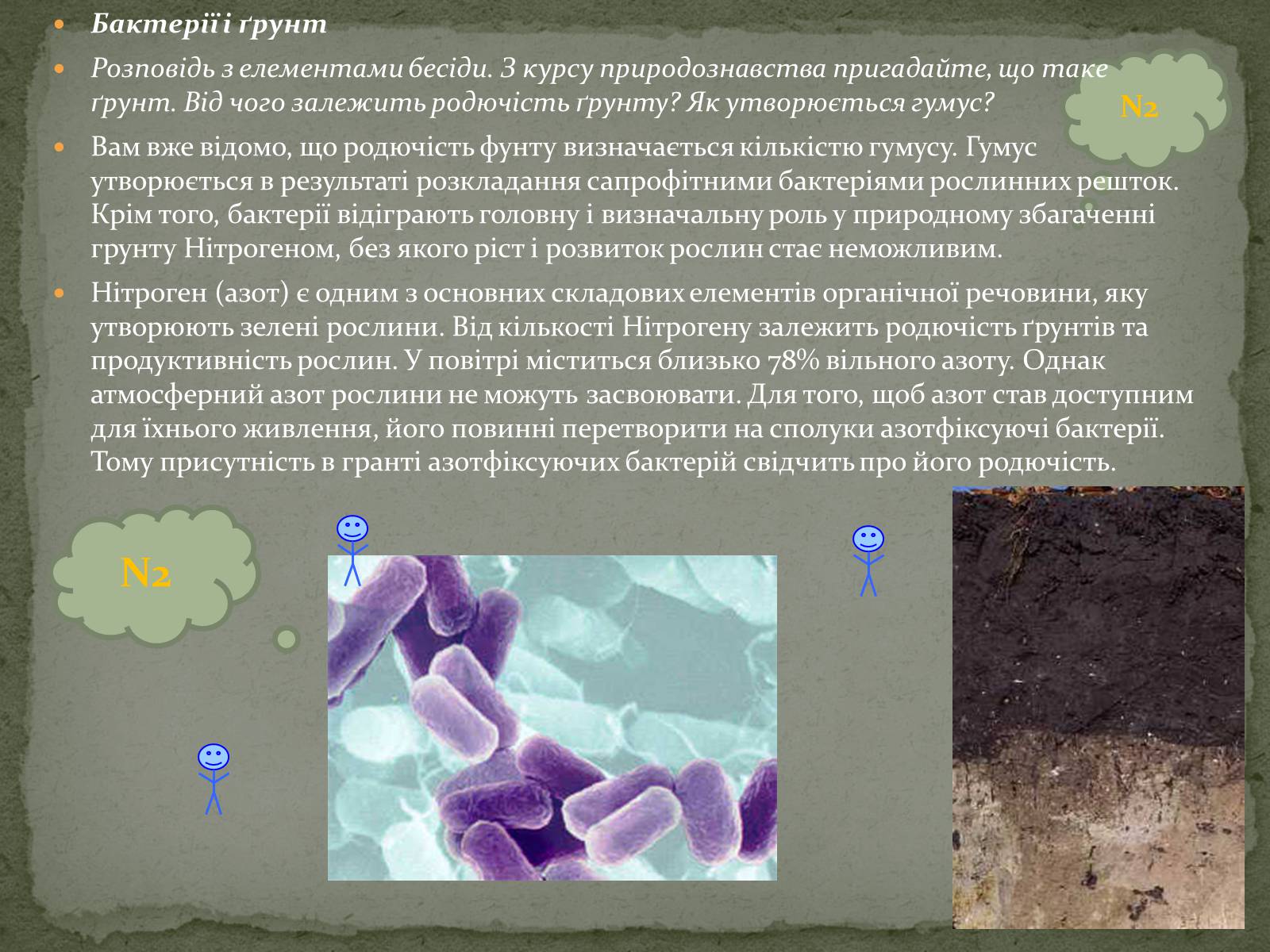 Презентація на тему «Корисні бактерії» (варіант 1) - Слайд #8 Презентація на тему «Корисні бактерії» (варіант 1) - Слайд #8