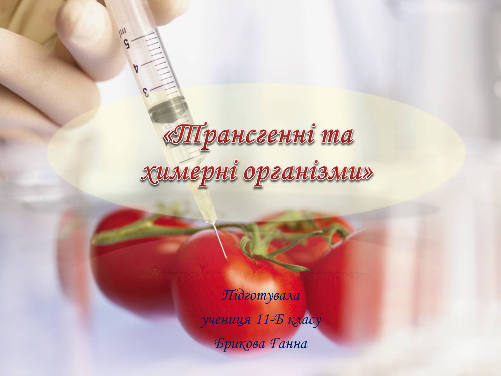 Презентація на тему «Трансгенні та химерні організми» (варіант 1) - Слайд #1 Презентація на тему «Трансгенні та химерні організми» (варіант 1) - Слайд #1
