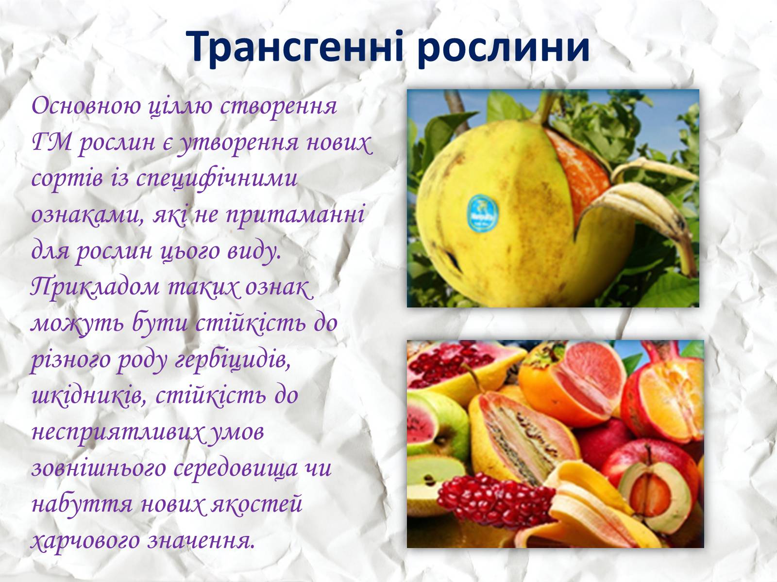 Презентація на тему «Трансгенні та химерні організми» (варіант 1) - Слайд #10 Презентація на тему «Трансгенні та химерні організми» (варіант 1) - Слайд #10