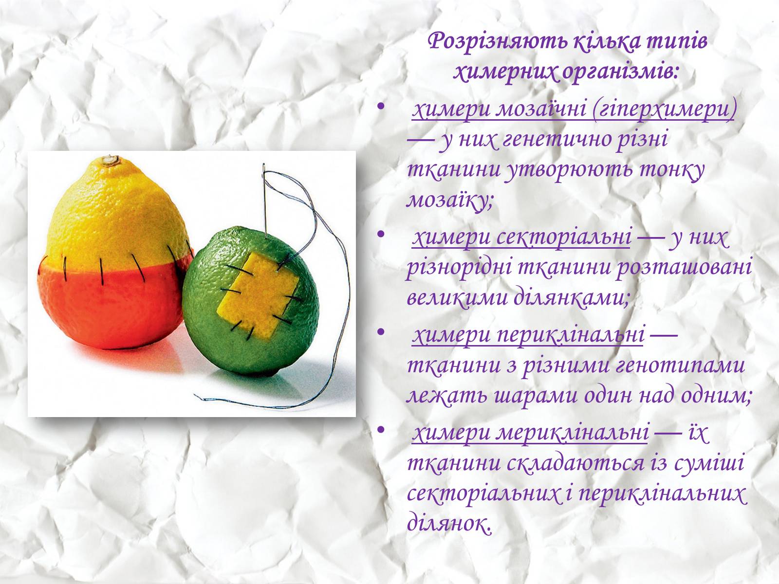Презентація на тему «Трансгенні та химерні організми» (варіант 1) - Слайд #13 Презентація на тему «Трансгенні та химерні організми» (варіант 1) - Слайд #13